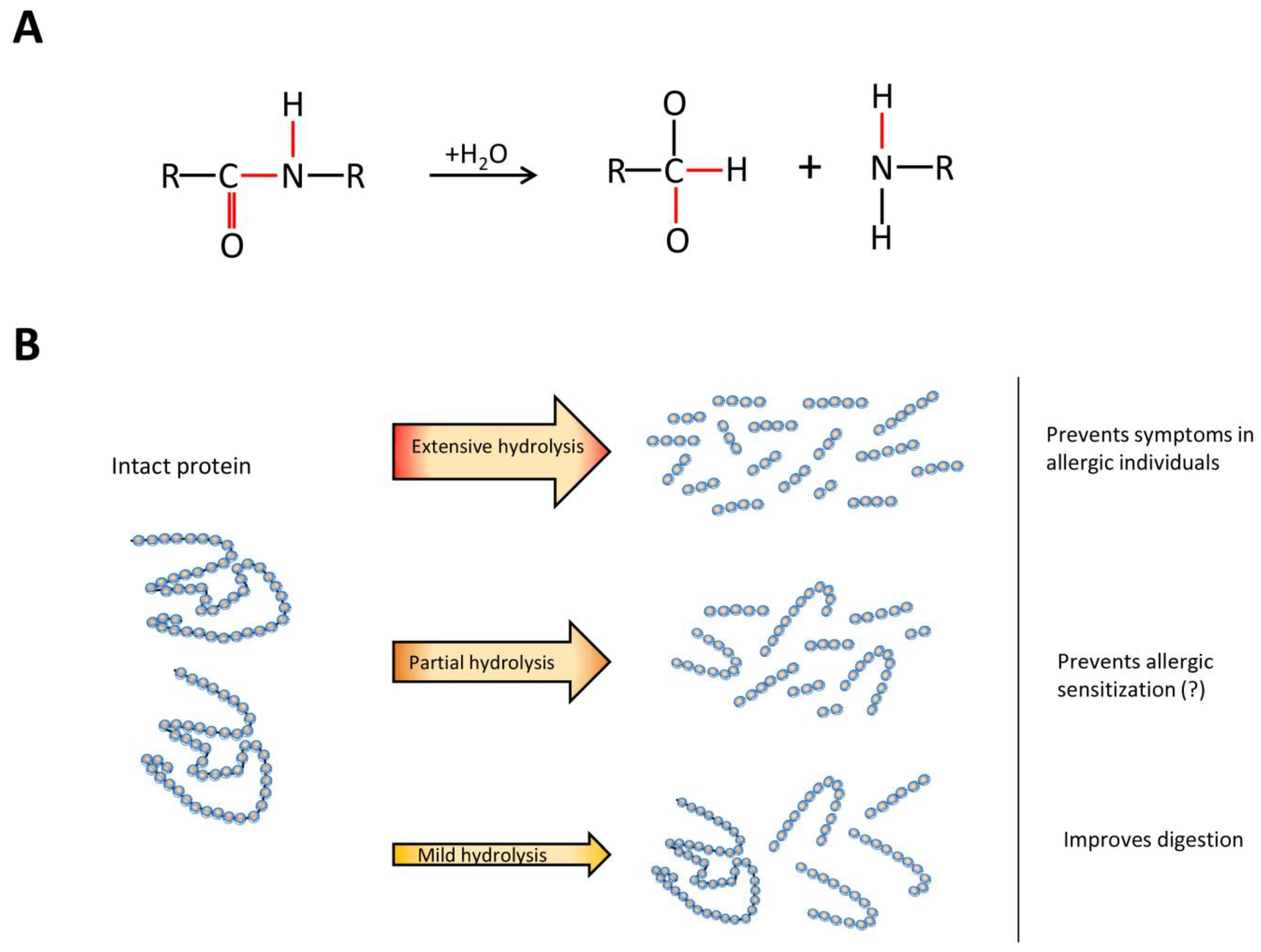 Nutrients 10 00904 g001 Nutrients 10 00904 g001