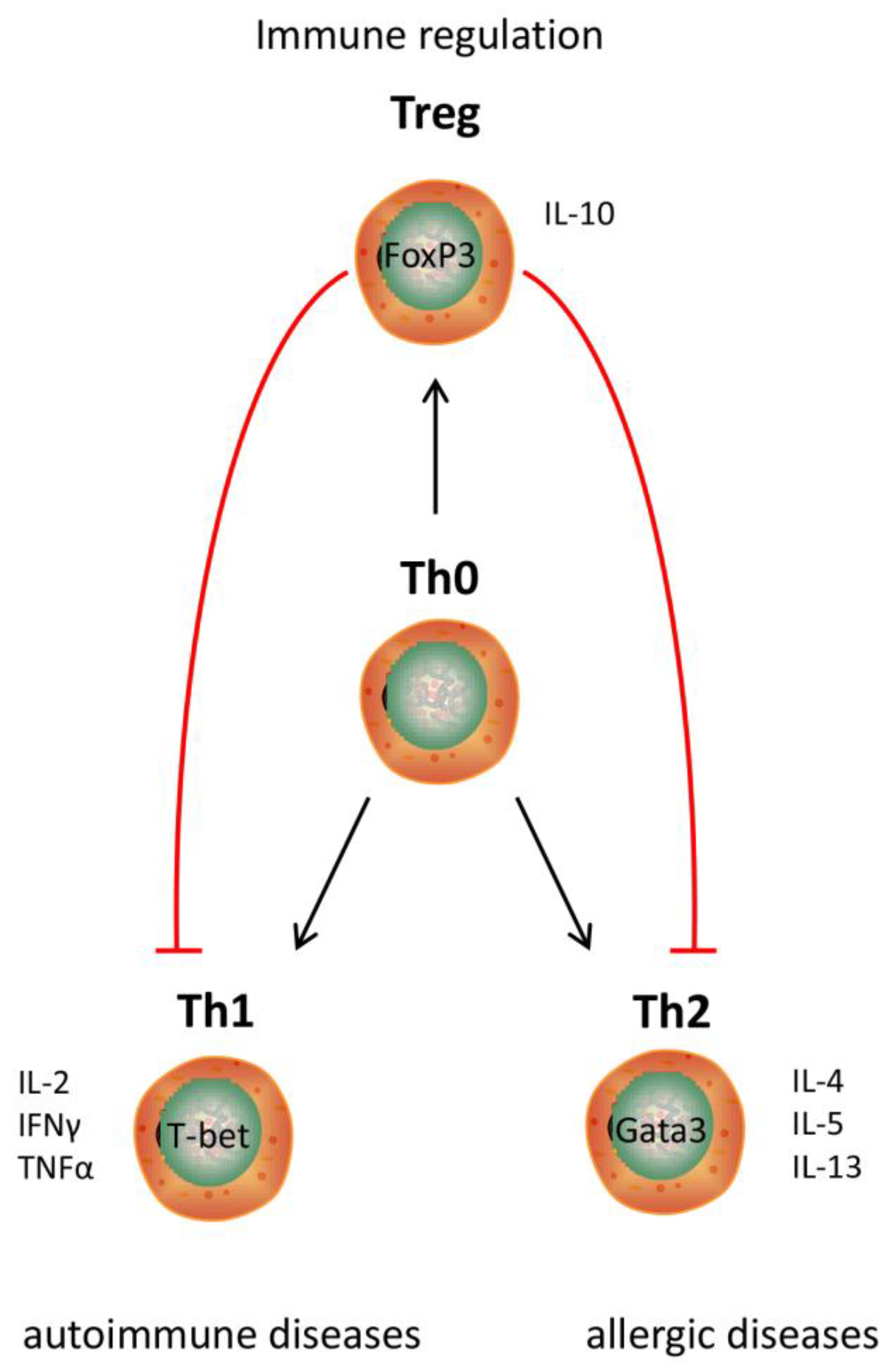 Nutrients 10 00904 g005 Nutrients 10 00904 g005
