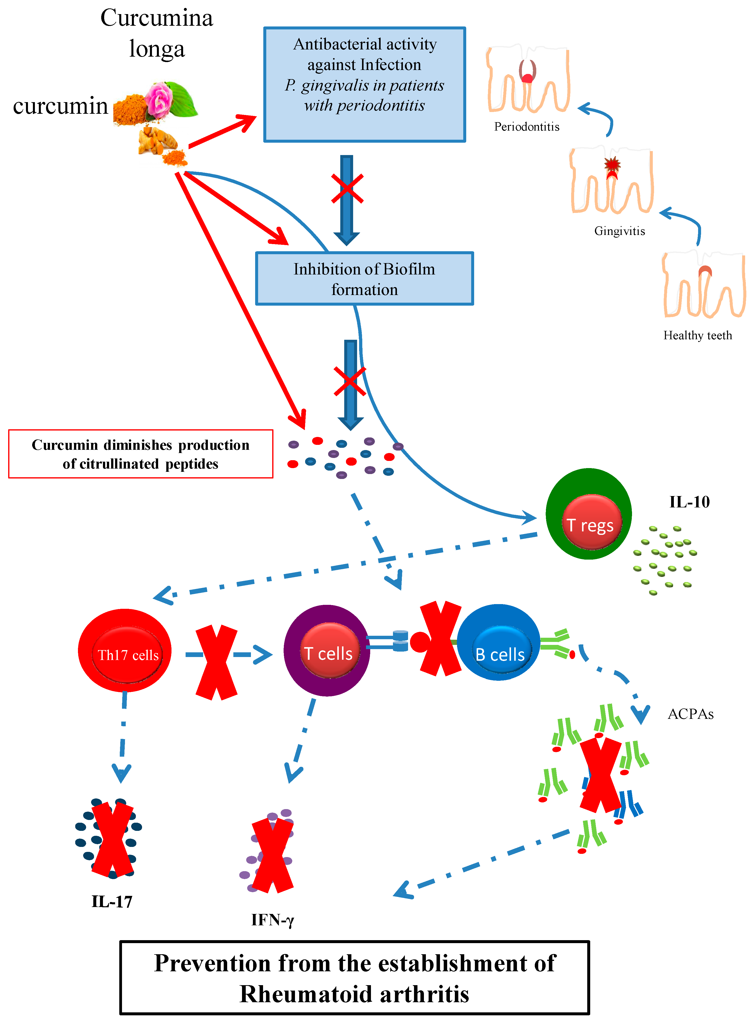 Nutrients 10 00908 g001