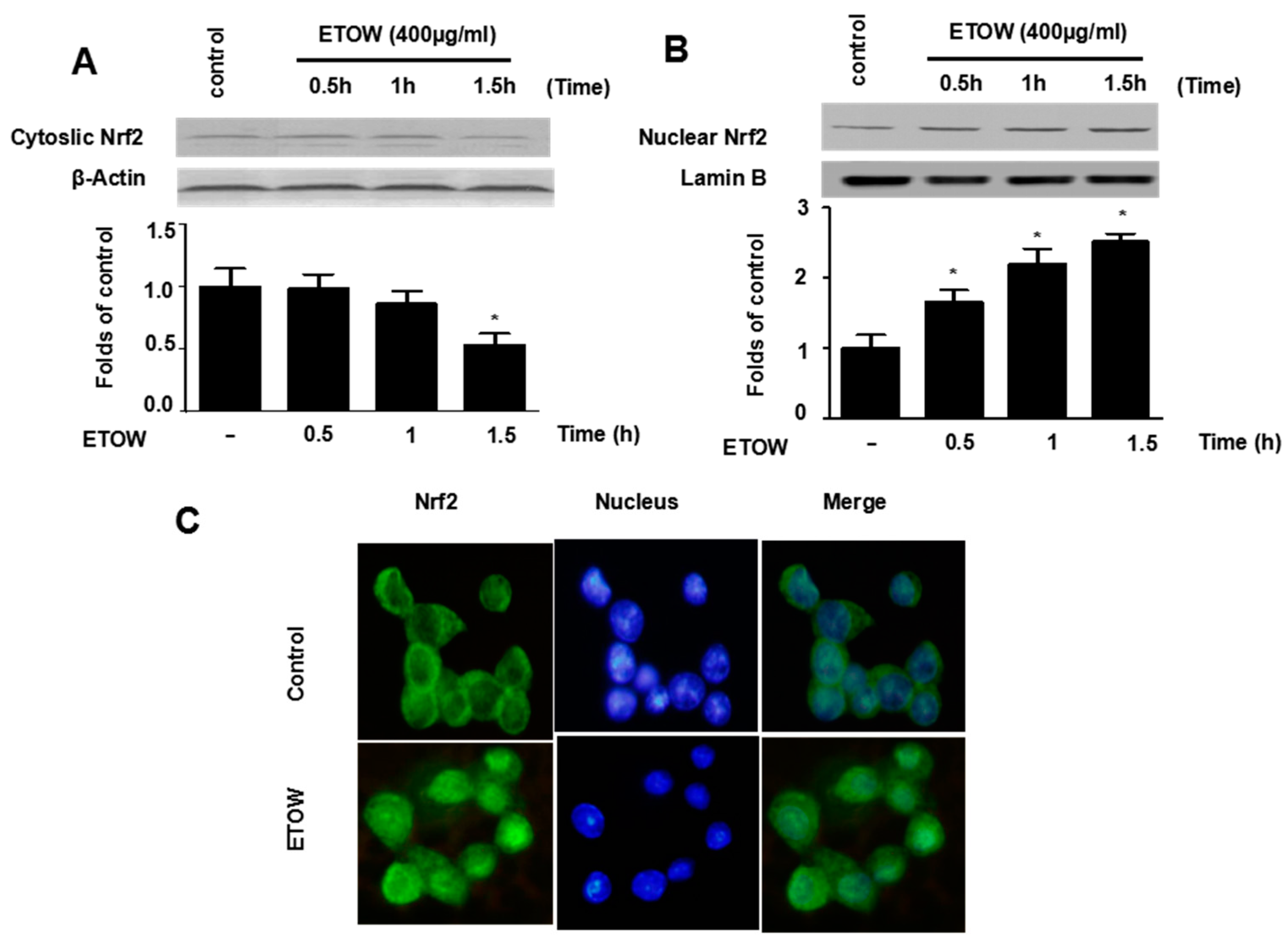 Nutrients 10 00926 g004