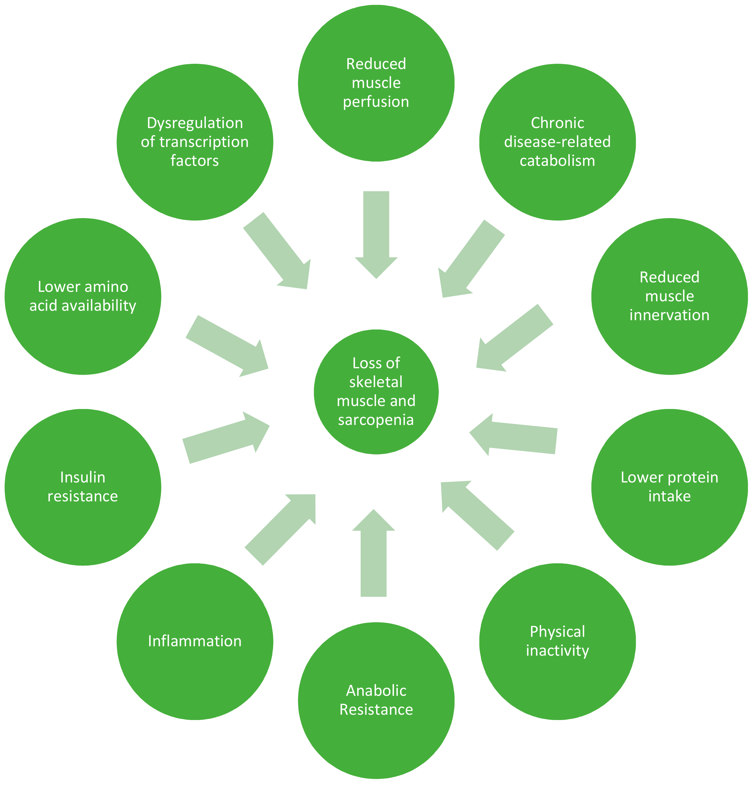 Nutrients 10 00929 g002