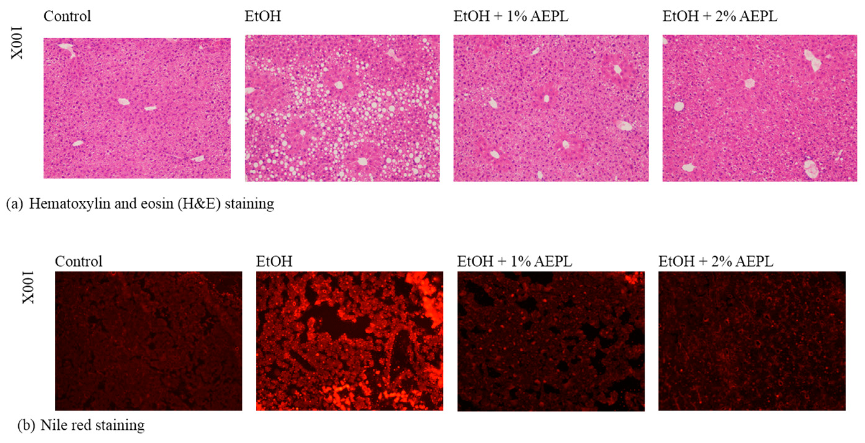 Nutrients 10 00931 g001