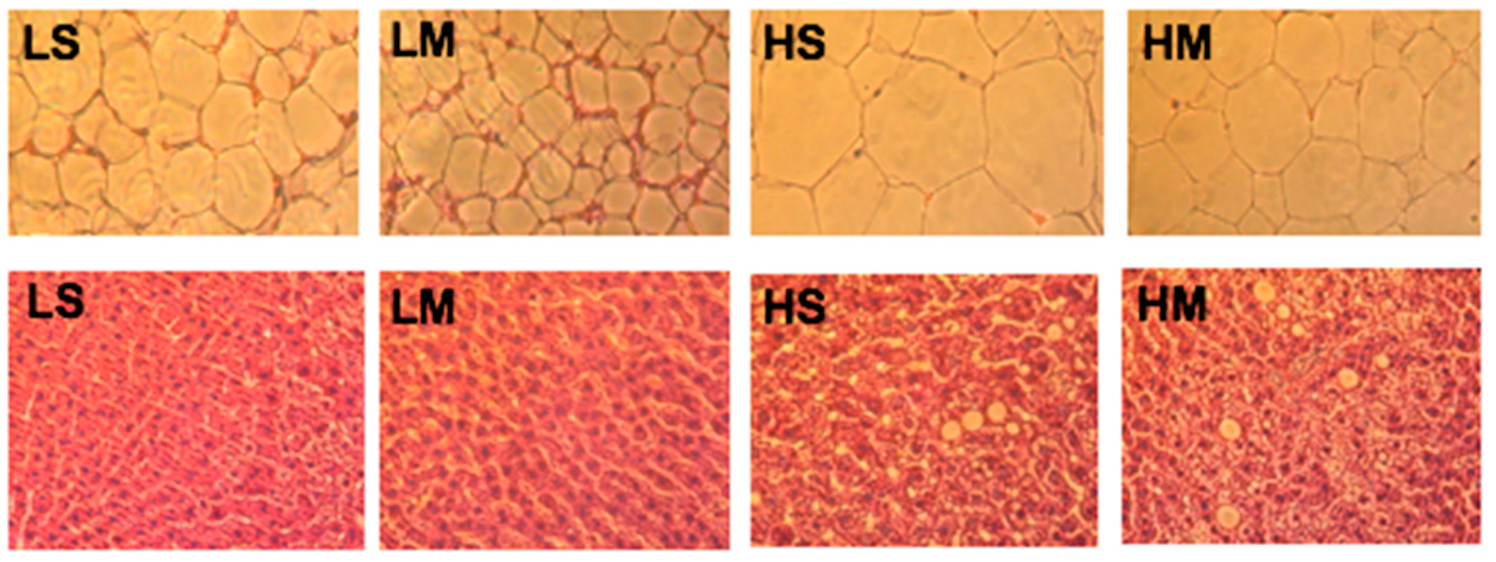 Nutrients 10 00963 g005 Nutrients 10 00963 g005