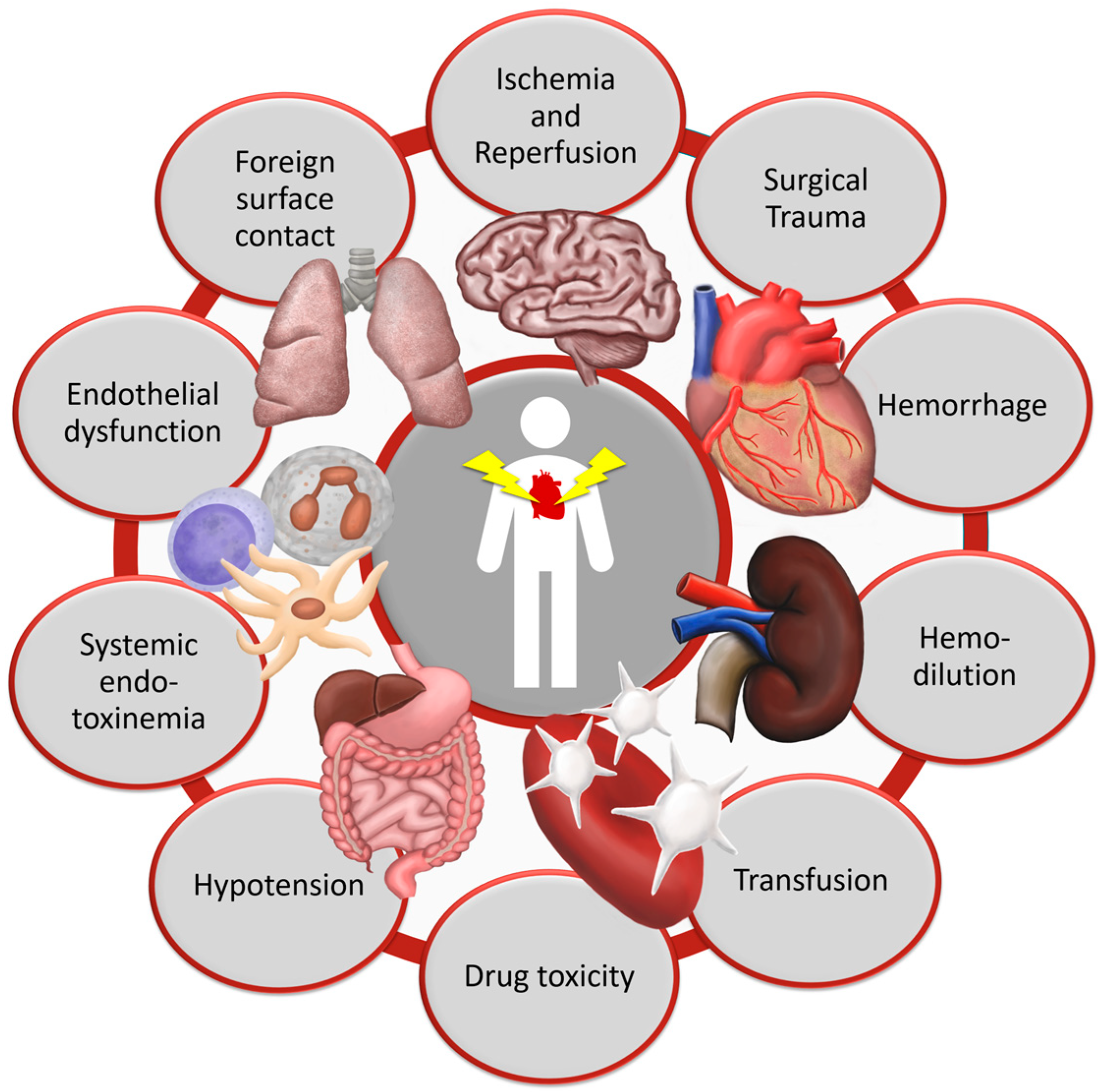 Nutrients 10 00974 g001