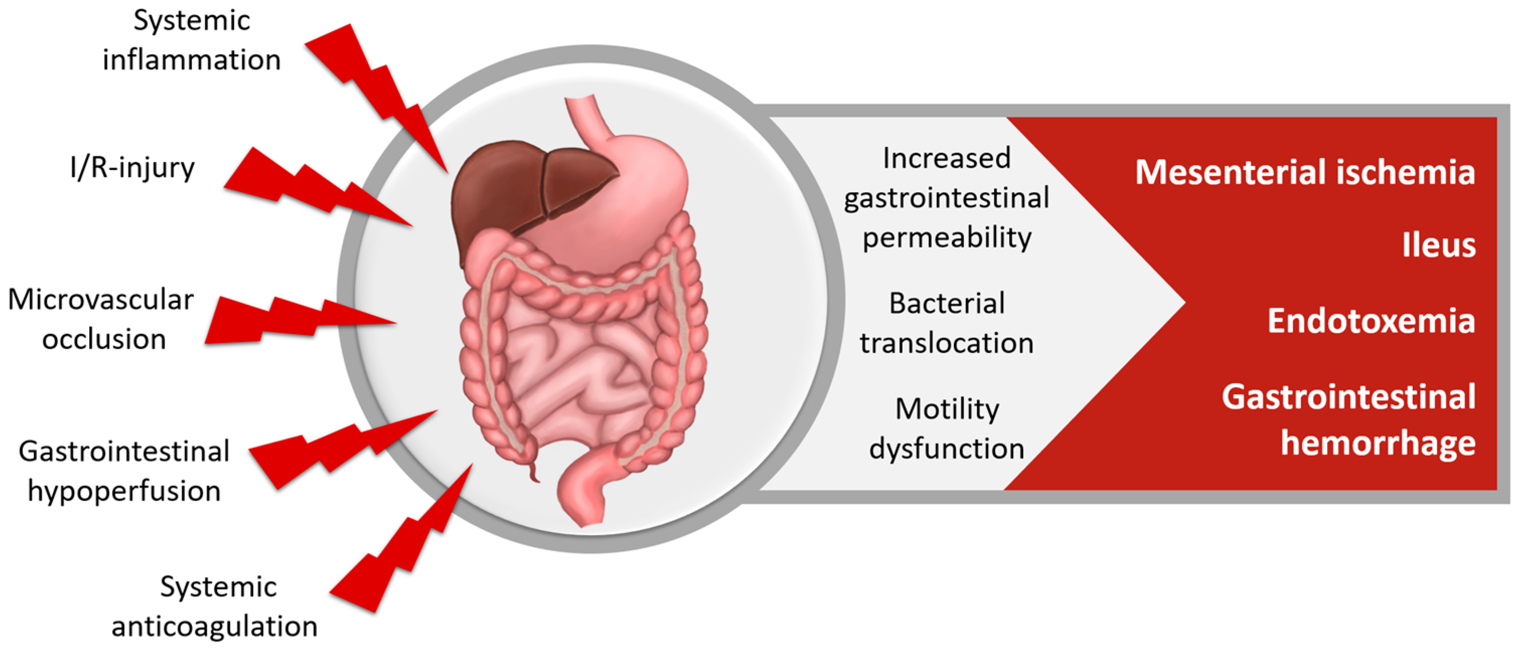 Nutrients 10 00974 g006
