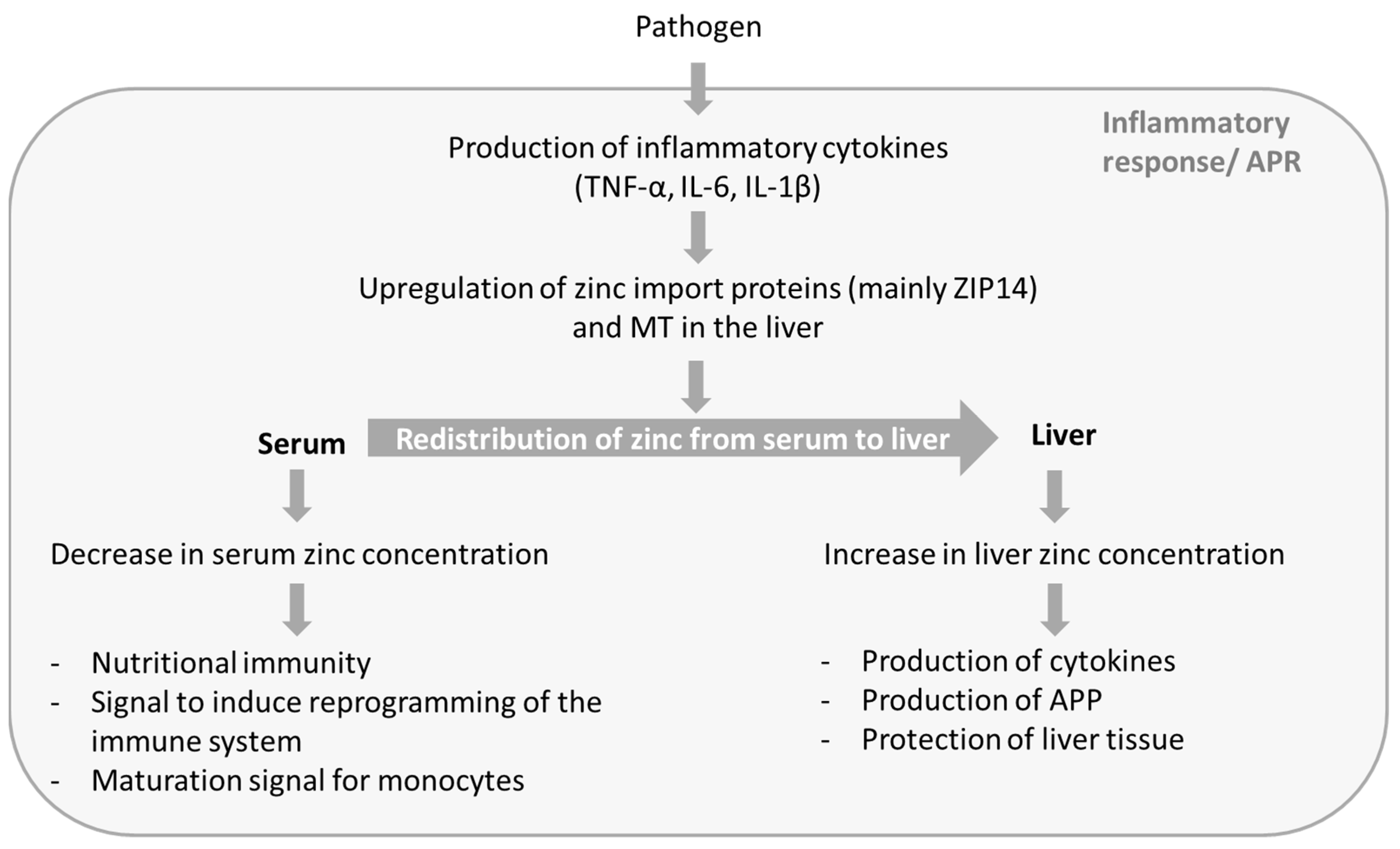 Nutrients 10 00976 g001 Nutrients 10 00976 g001