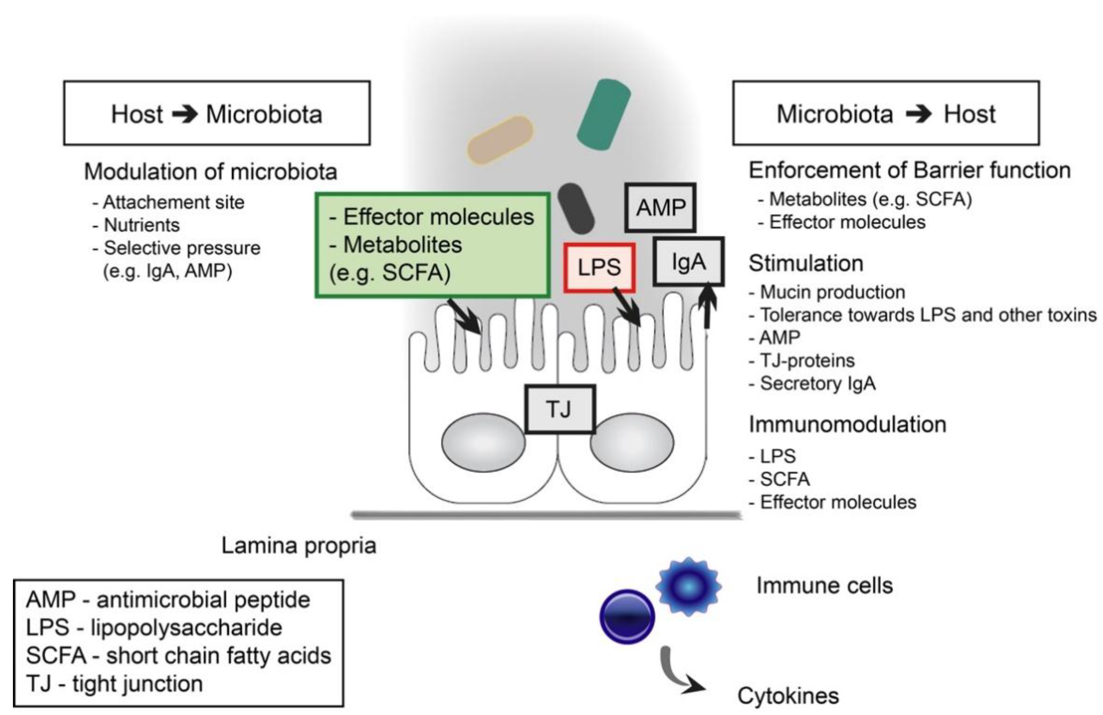 Nutrients 10 00988 g001 Nutrients 10 00988 g001