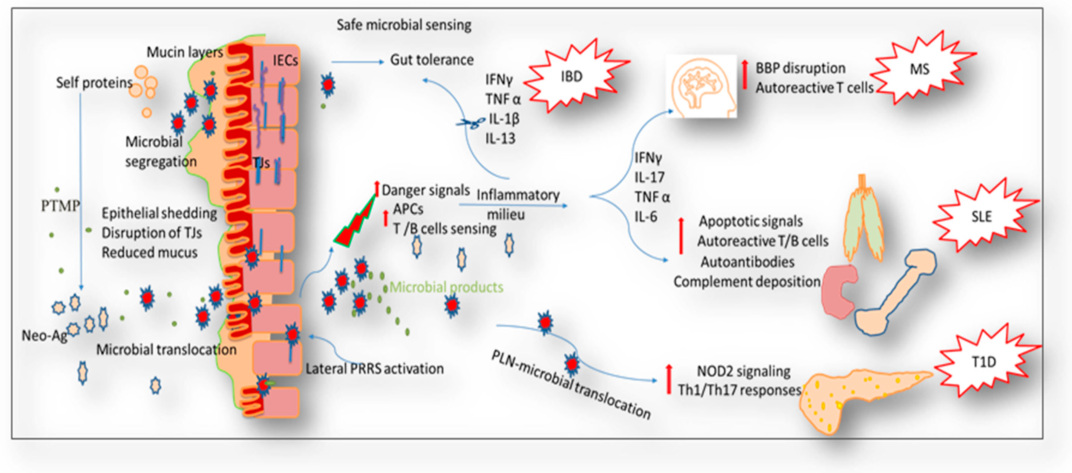 Nutrients 10 01016 g002