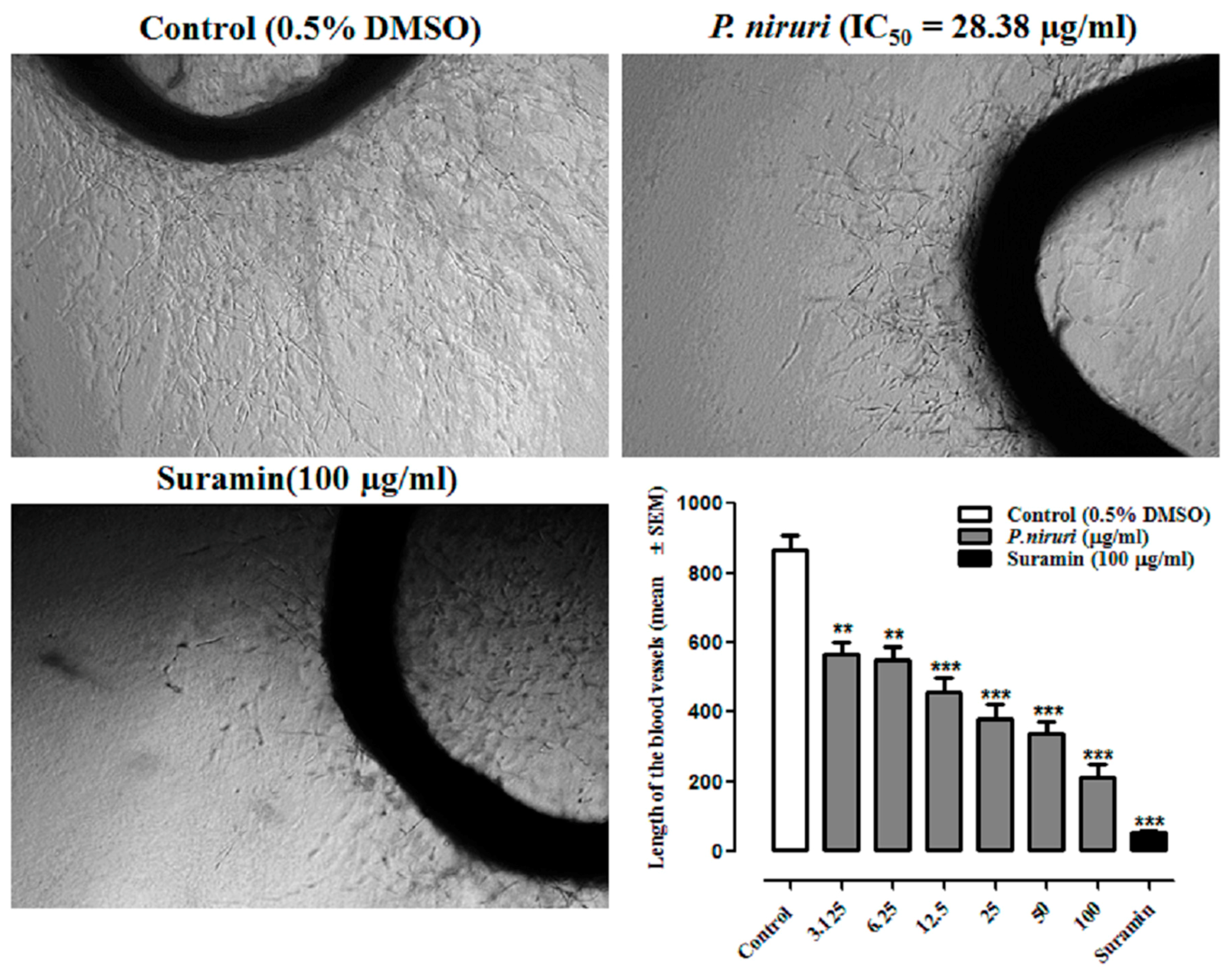 Nutrients 10 01057 g004