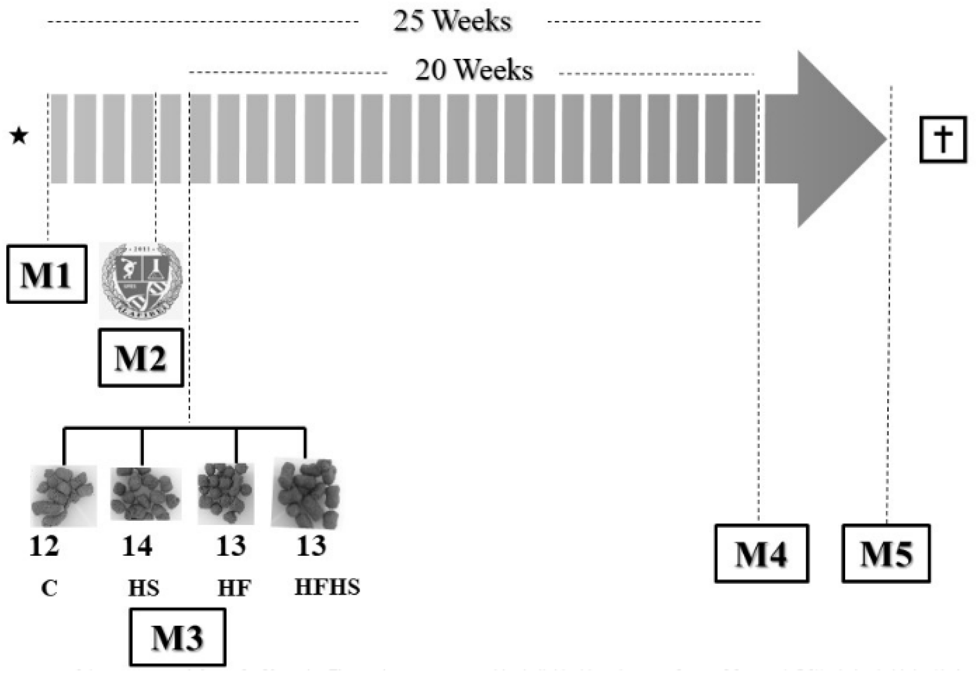 Nutrients 10 01071 g001 Nutrients 10 01071 g001