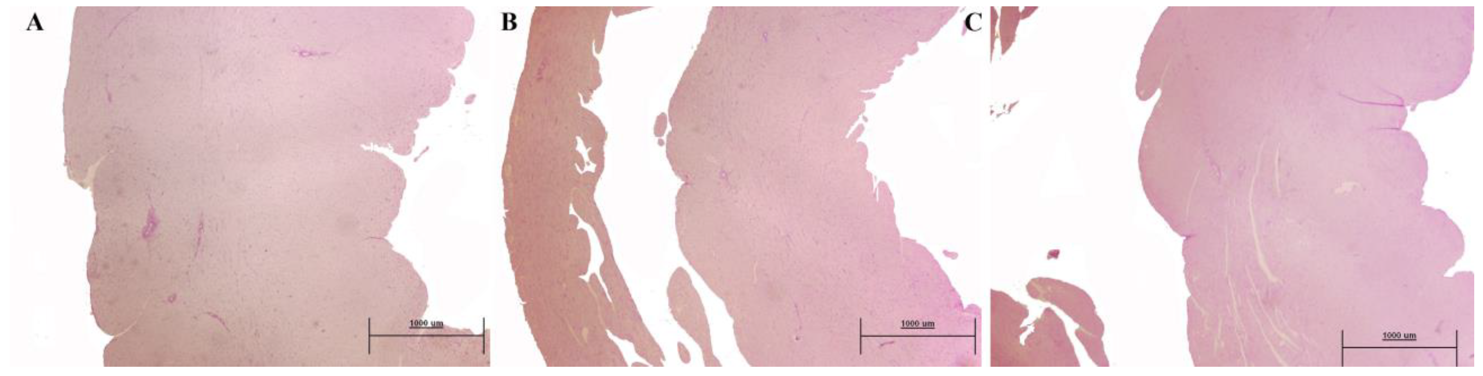 Nutrients 10 01107 g004