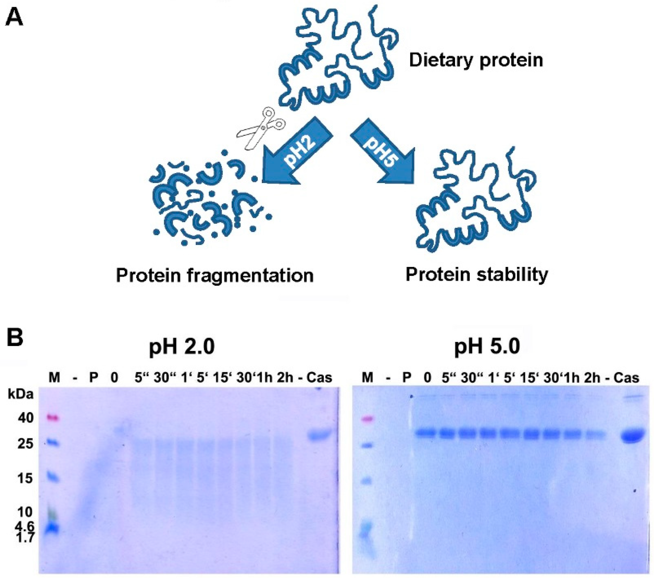 Nutrients 10 01129 g001