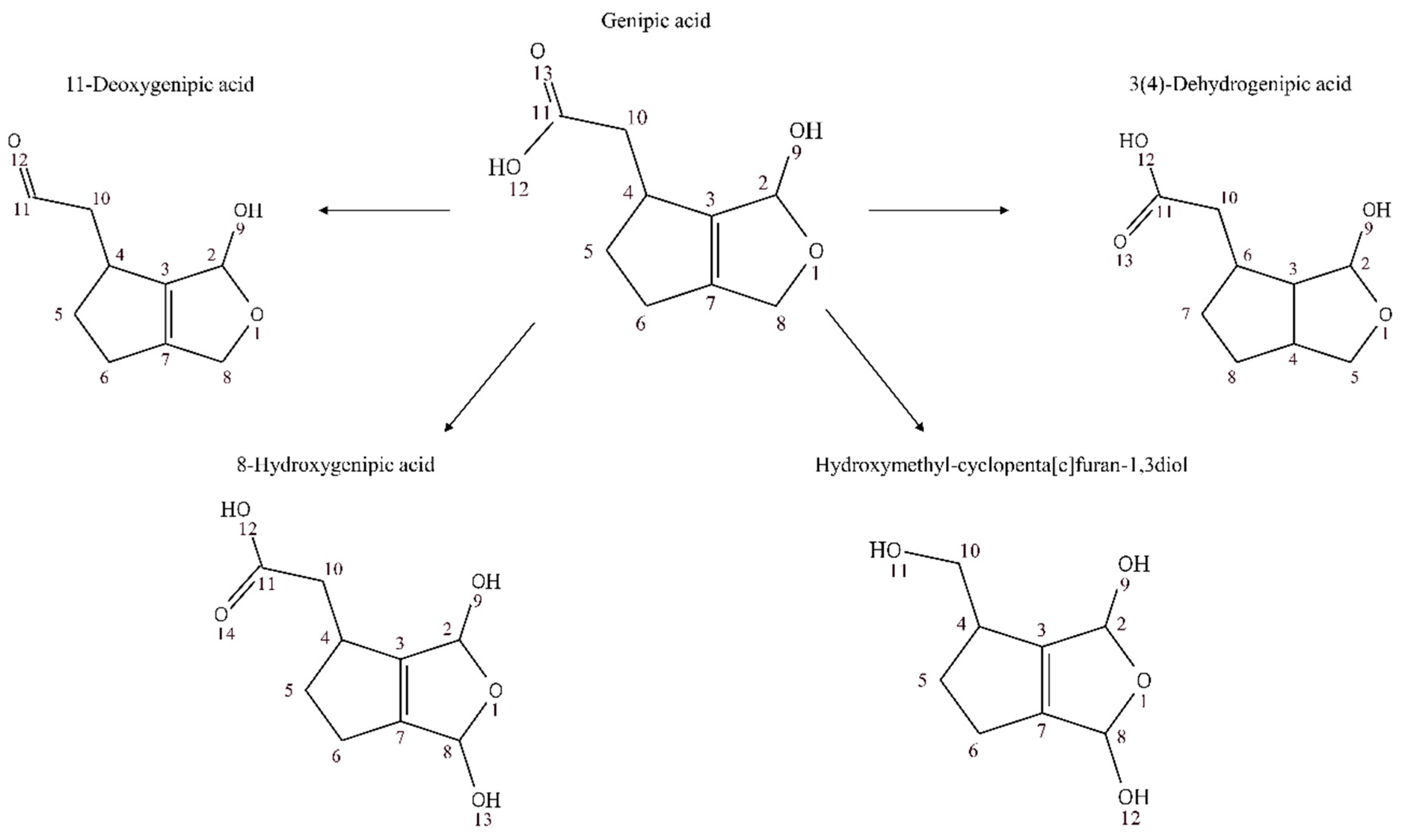 Nutrients 10 01155 g007 Nutrients 10 01155 g007