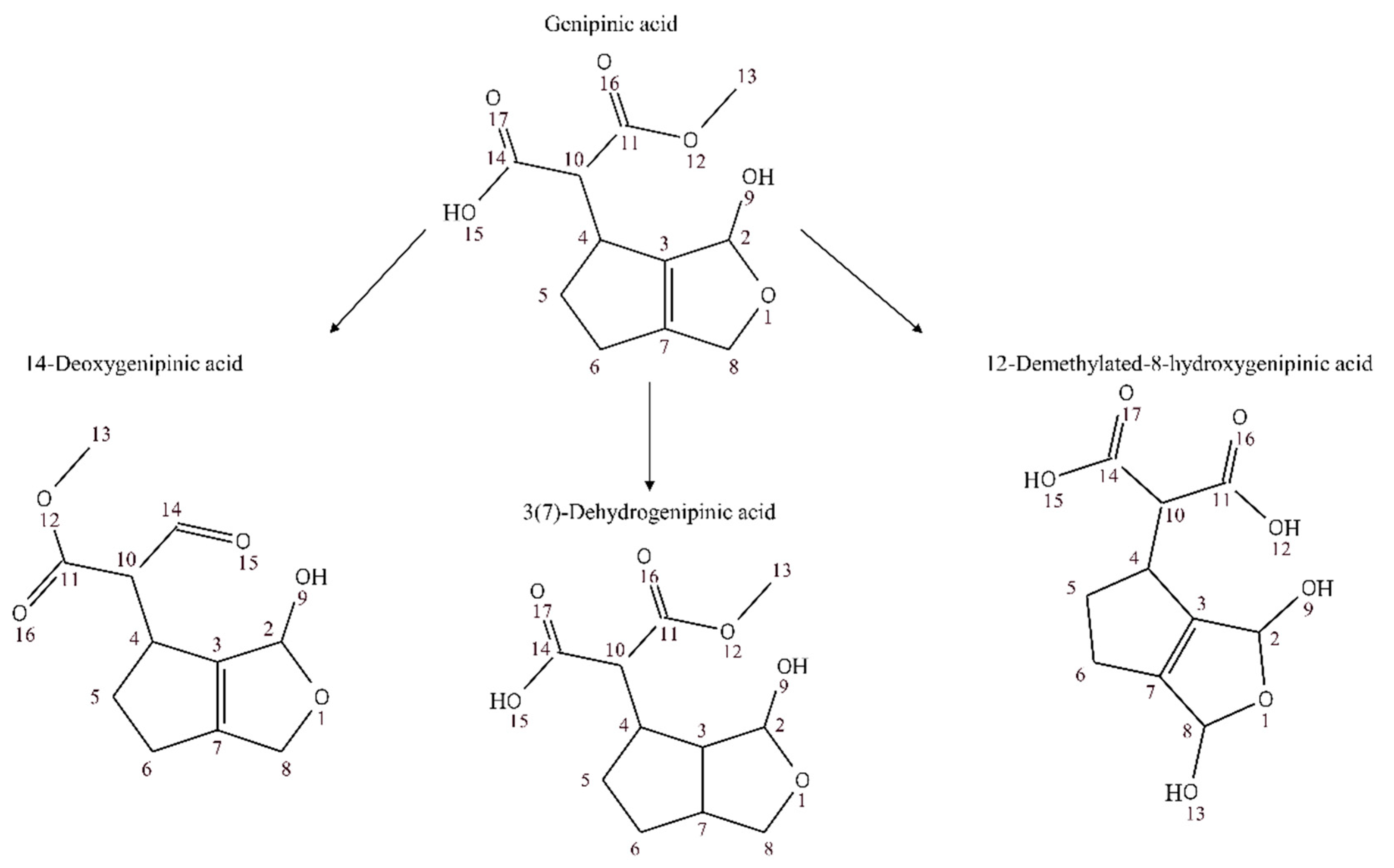 Nutrients 10 01155 g008 Nutrients 10 01155 g008