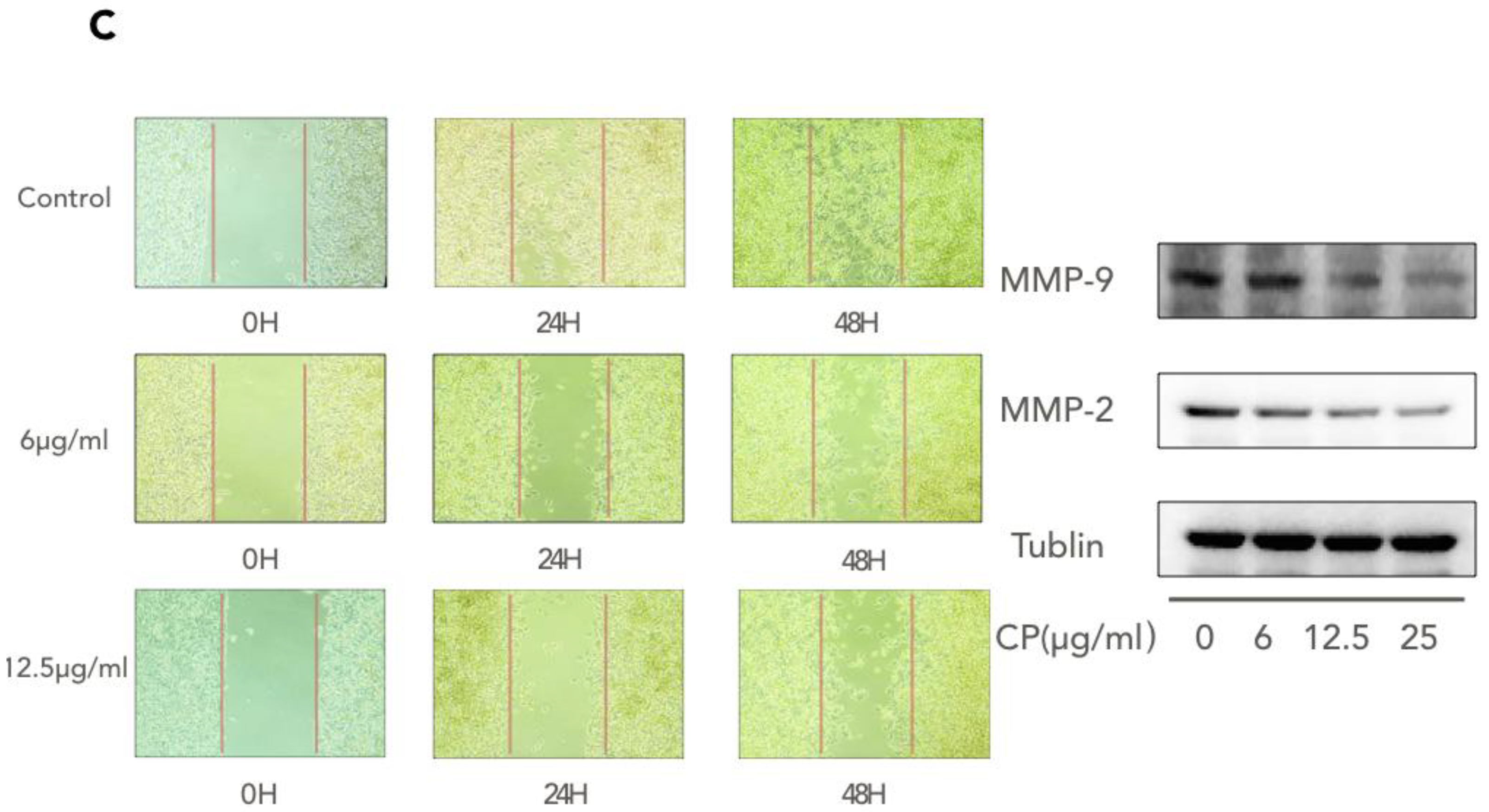 Nutrients 10 01170 g003b Nutrients 10 01170 g003b