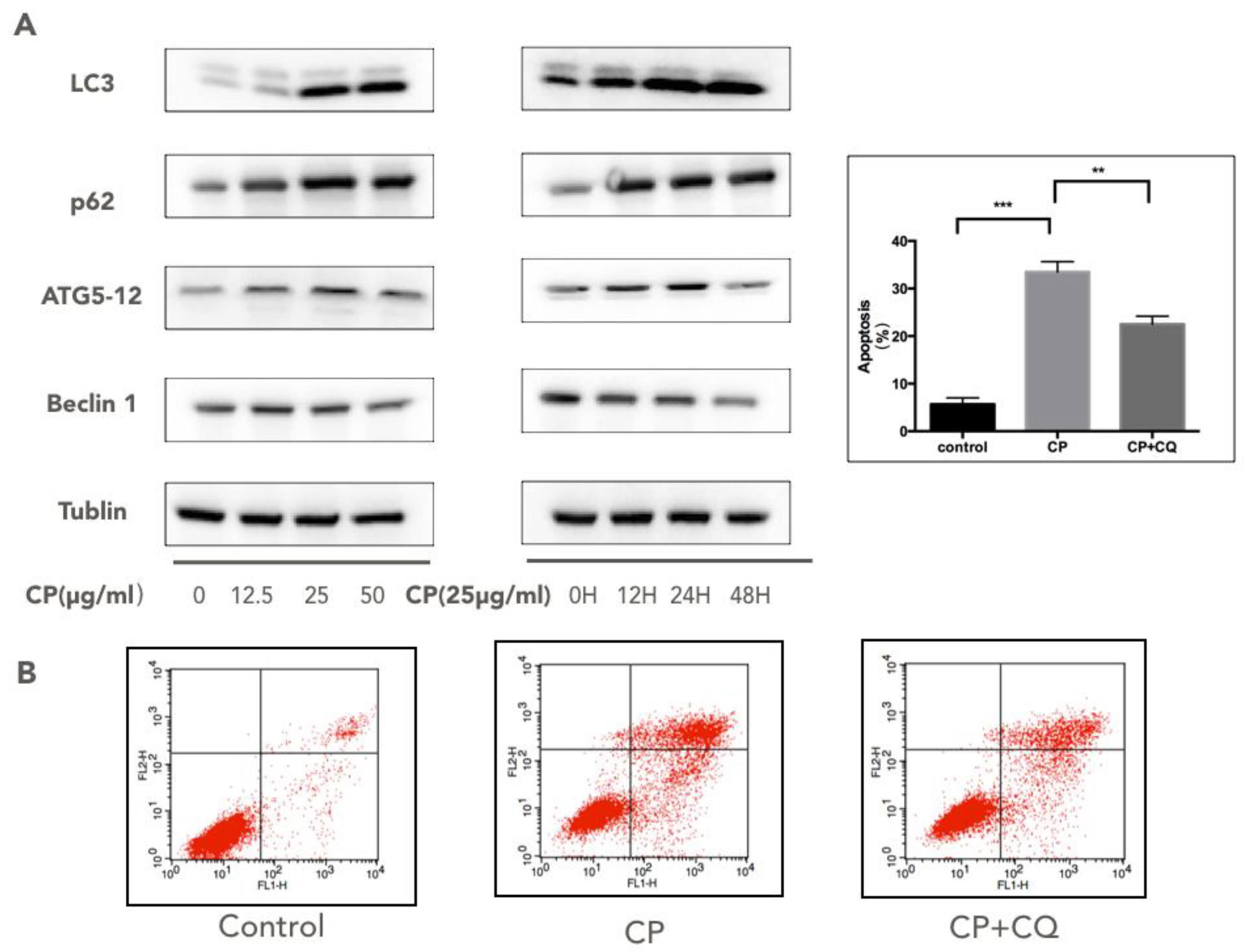 Nutrients 10 01170 g004 Nutrients 10 01170 g004