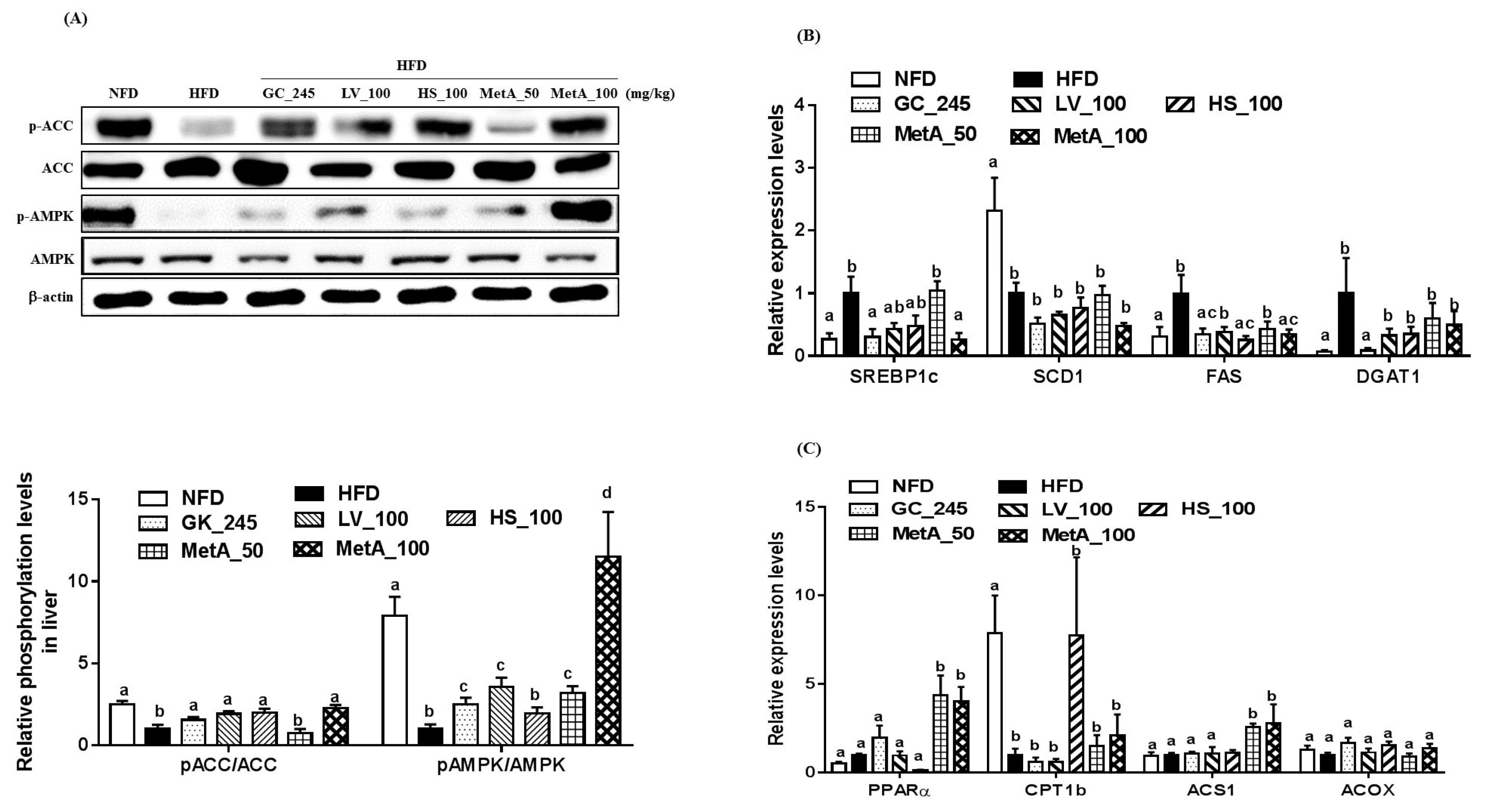 Nutrients 10 01204 g008 Nutrients 10 01204 g008