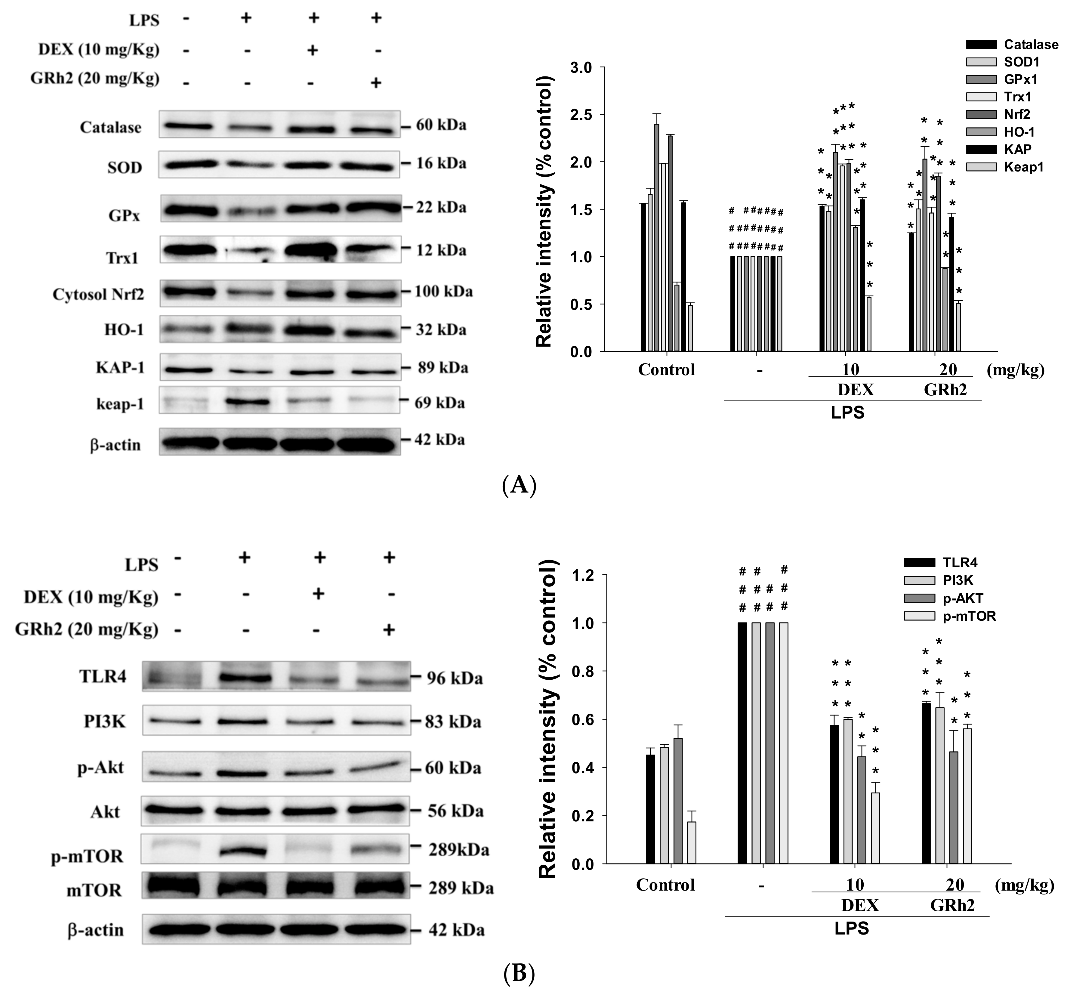 Nutrients 10 01208 g005a
