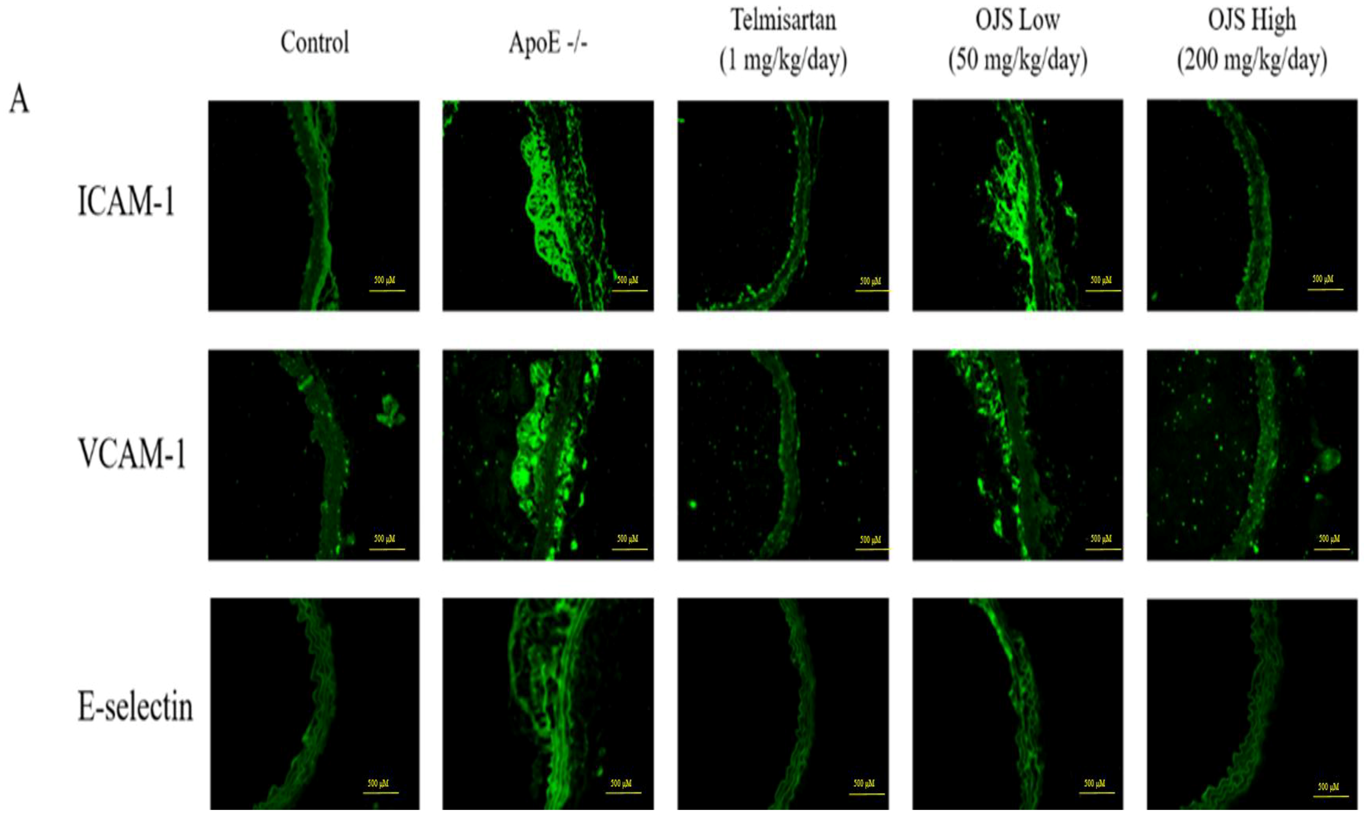 Nutrients 10 01256 g004a