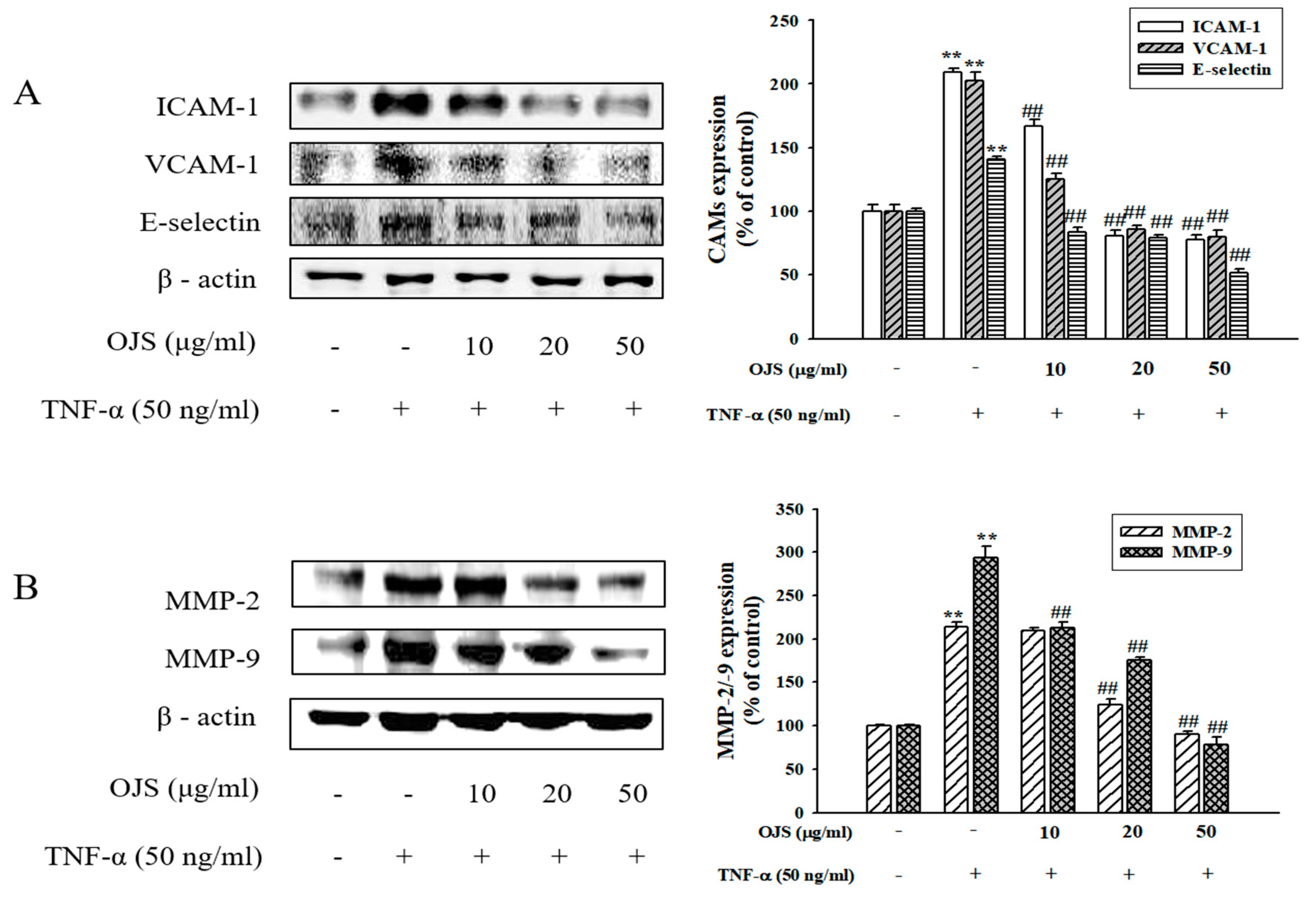Nutrients 10 01256 g007