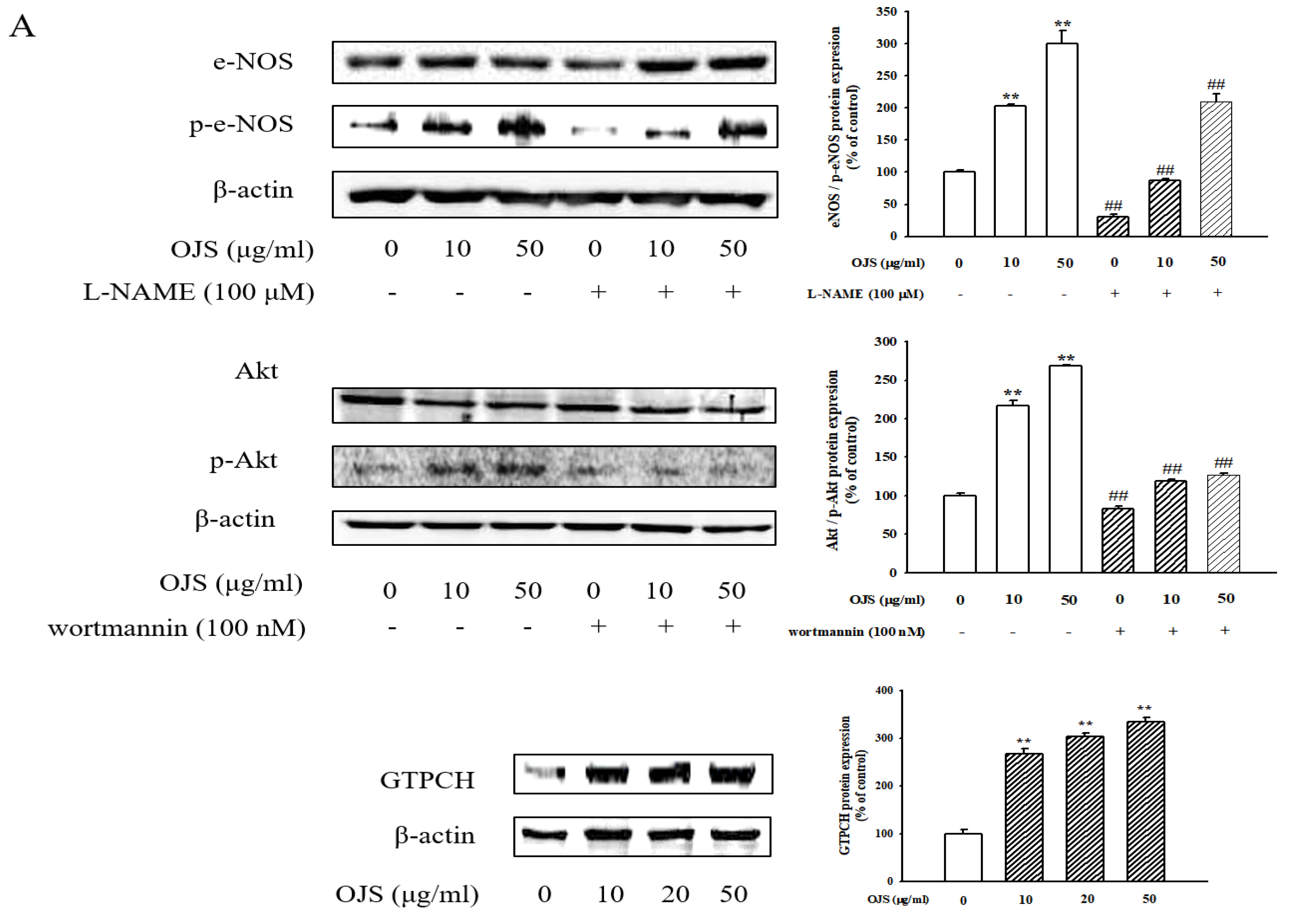 Nutrients 10 01256 g008a
