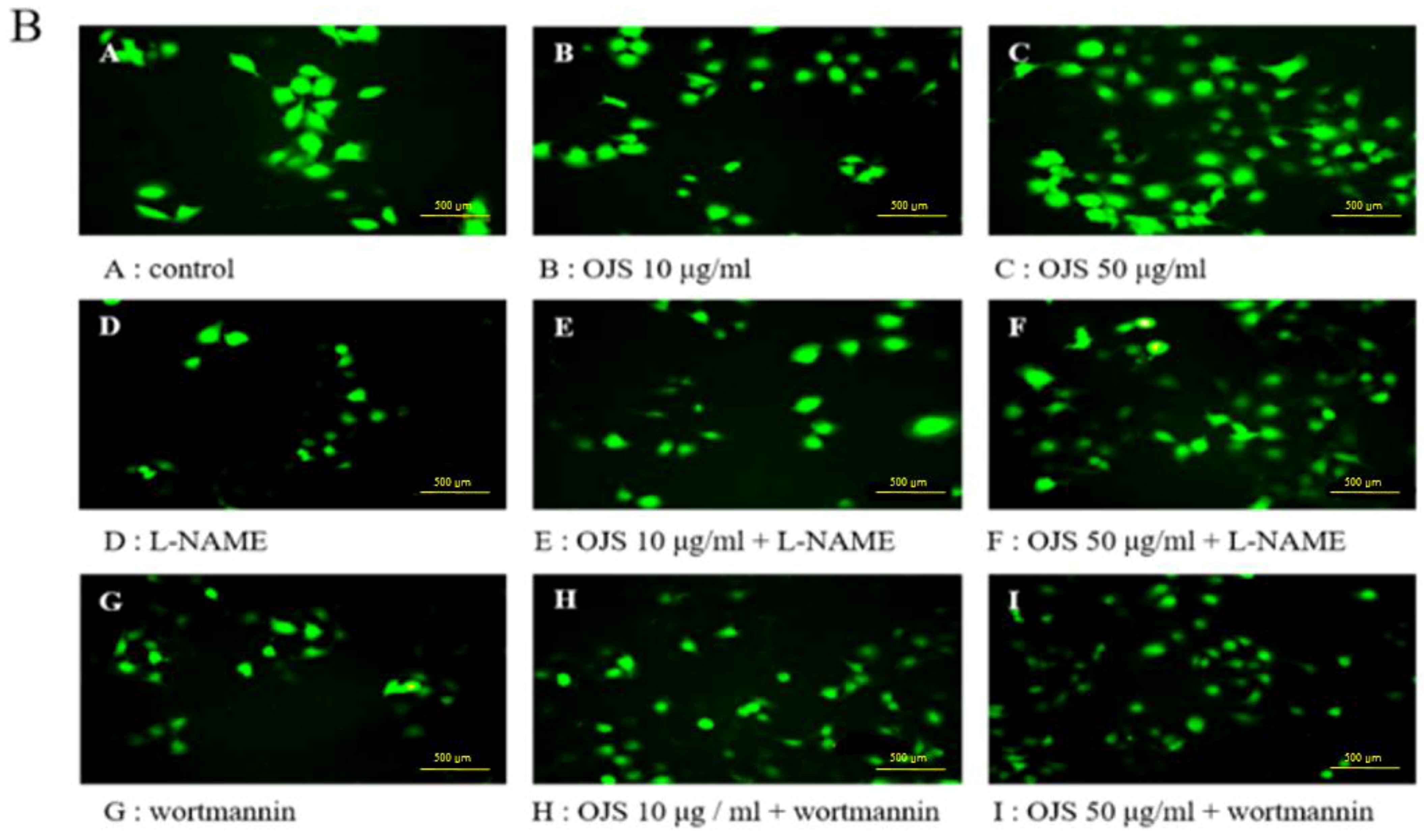 Nutrients 10 01256 g008b