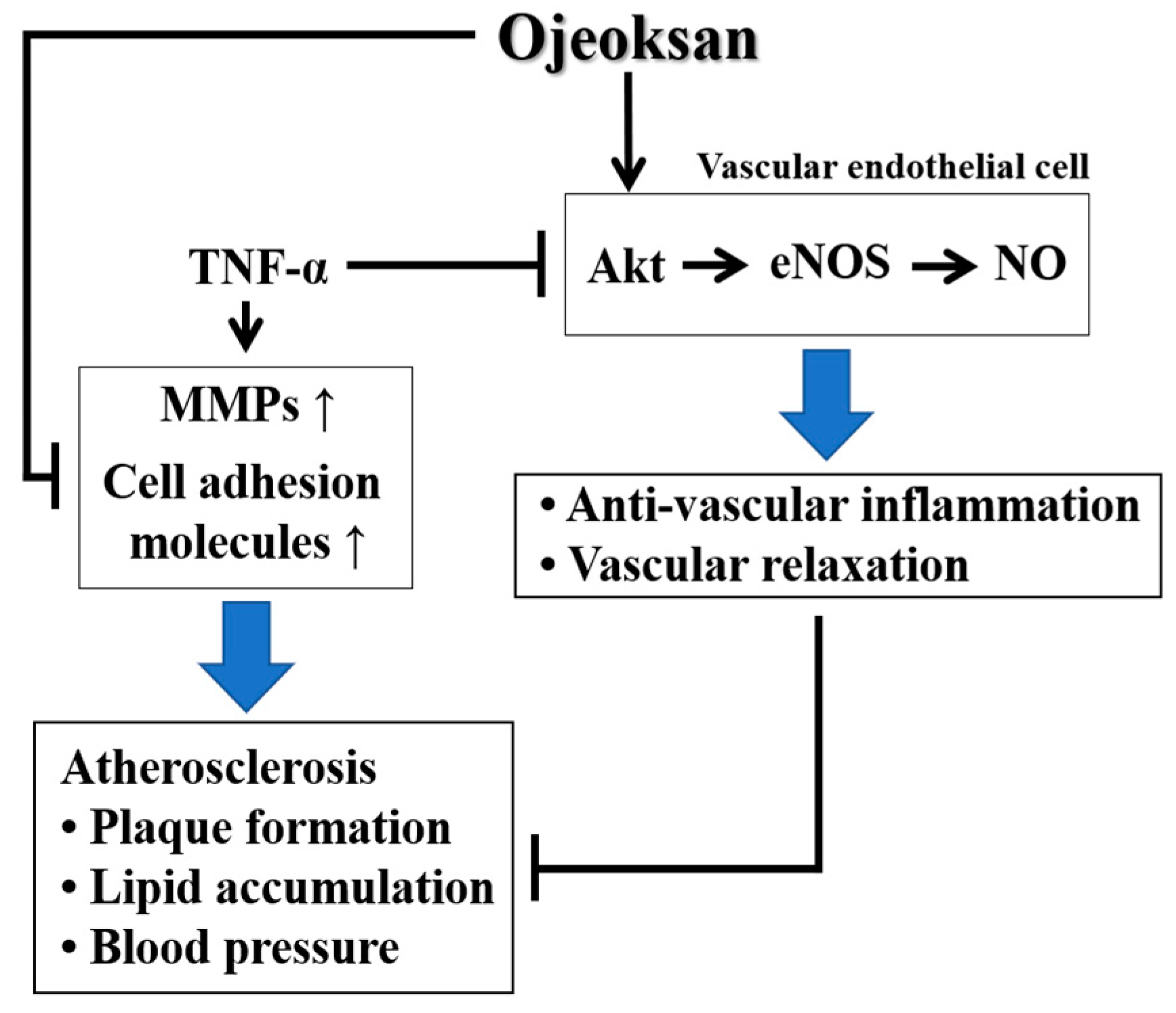 Nutrients 10 01256 g009