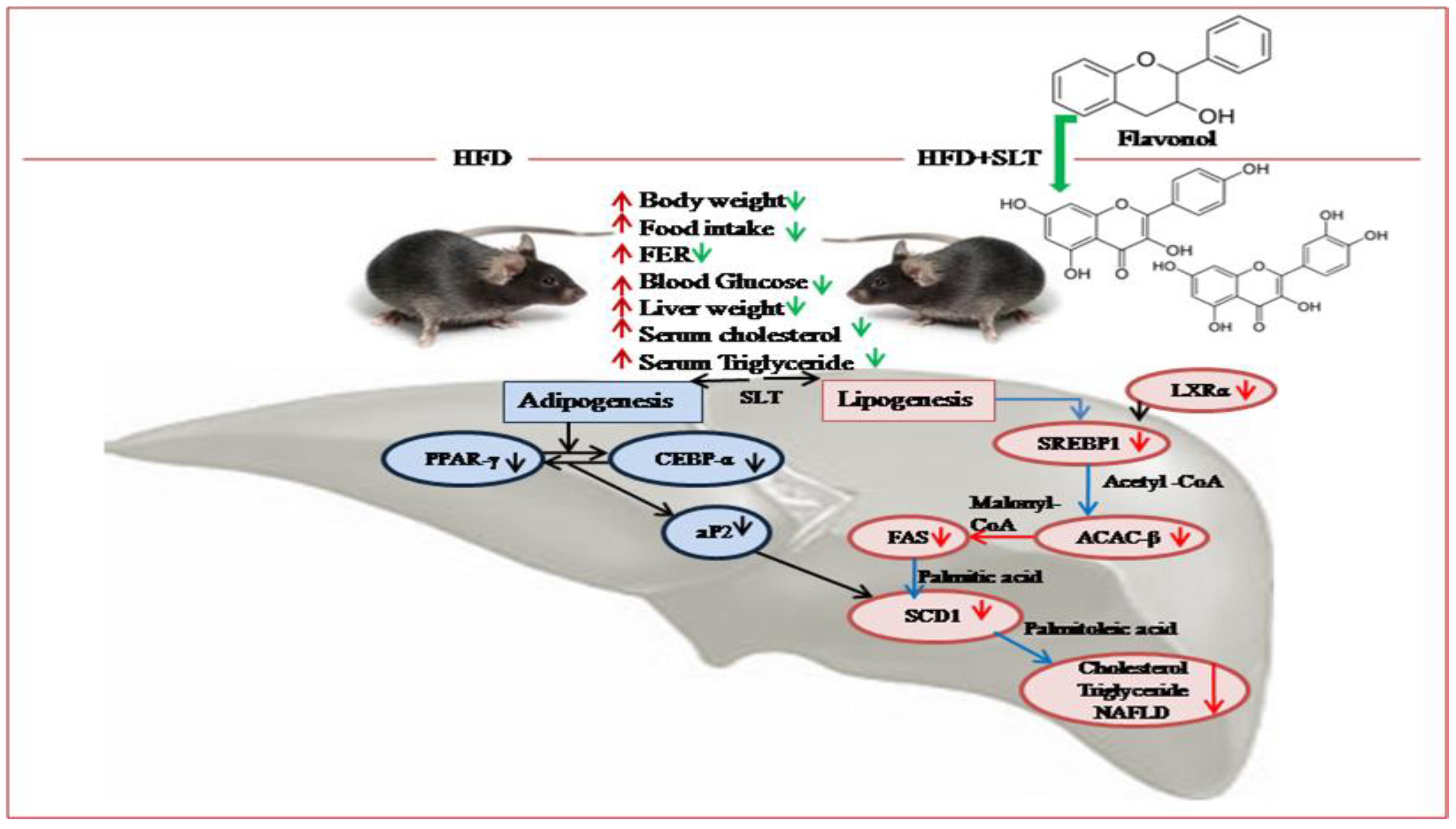 Nutrients 10 01276 g008