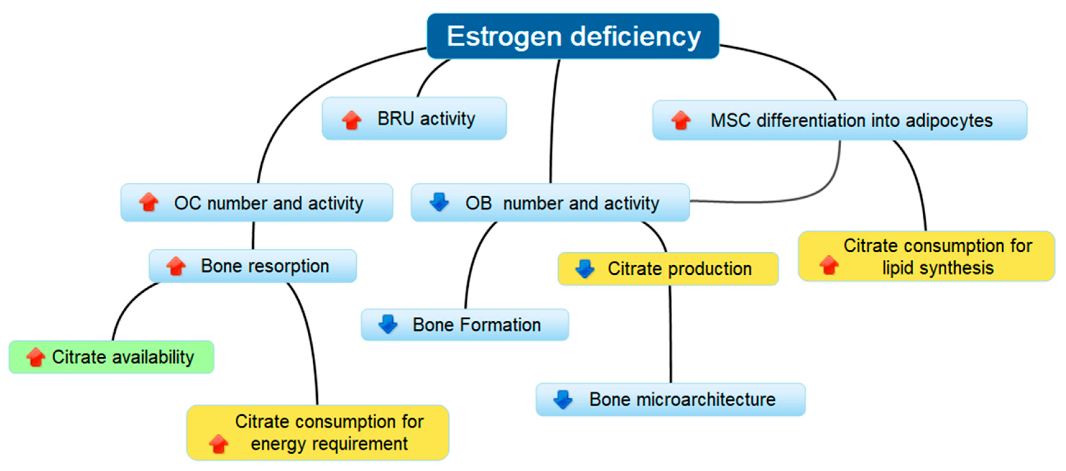 Nutrients 10 01293 g007