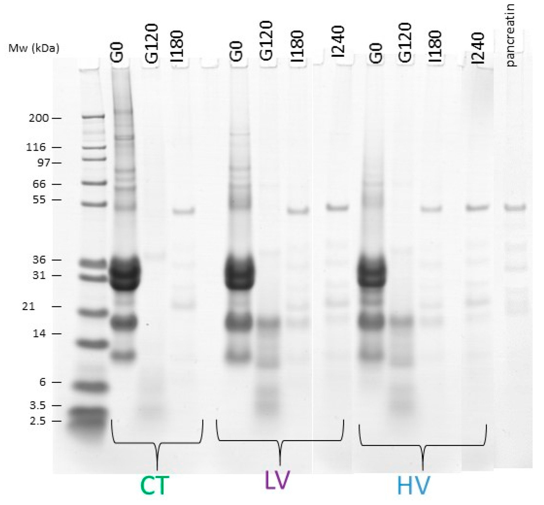 Nutrients 10 01308 g003