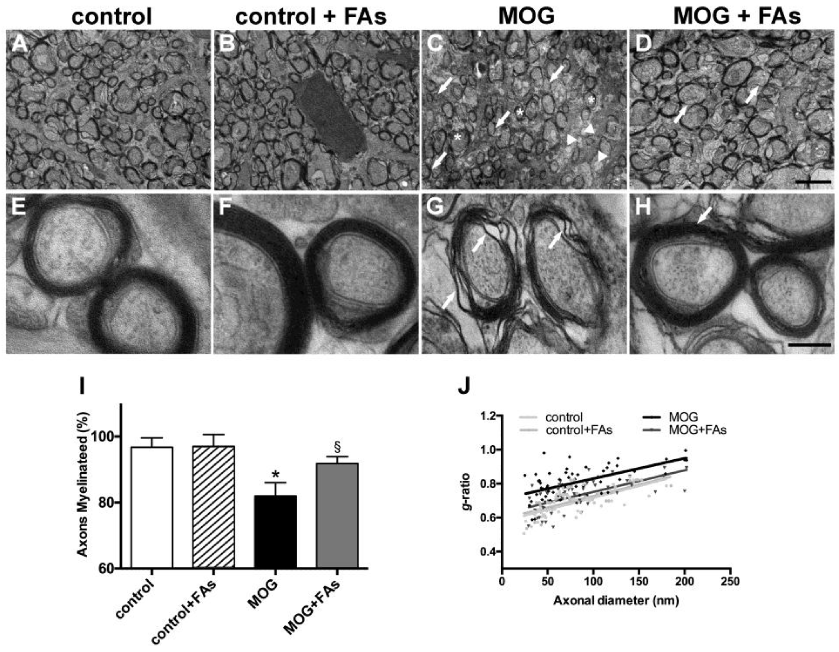 Nutrients 10 01447 g004