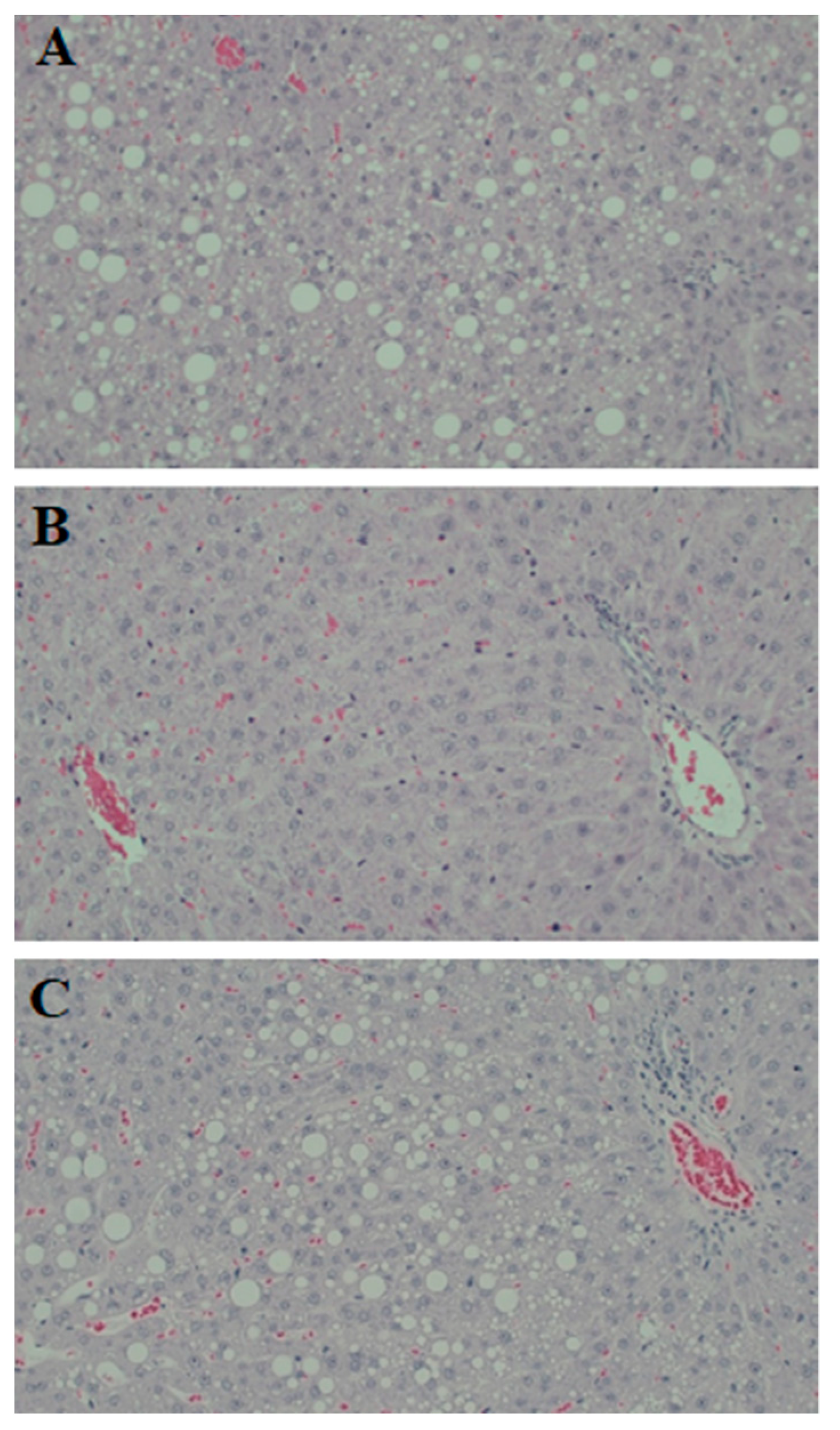 Nutrients 10 01547 g003
