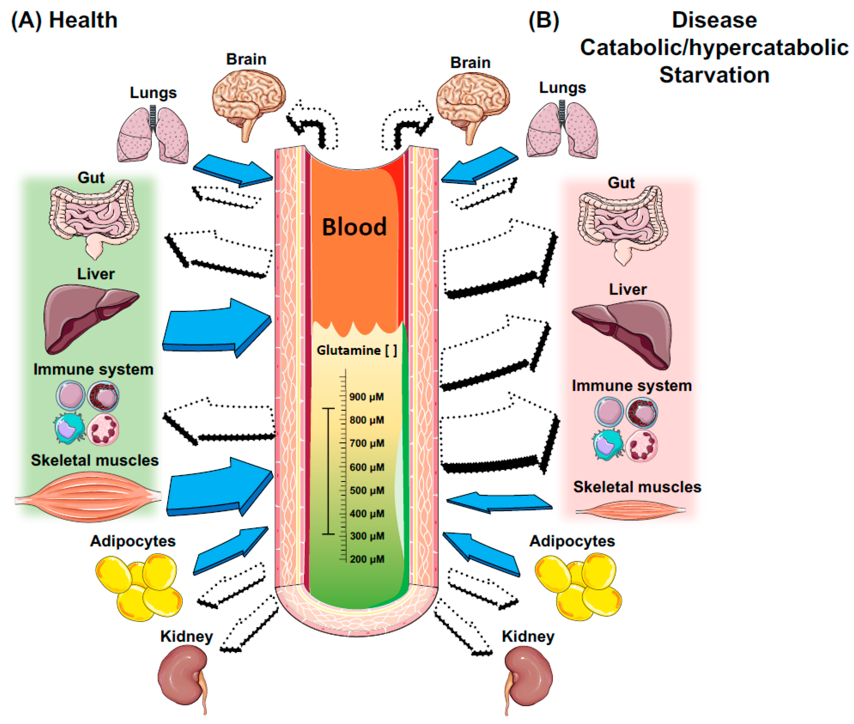 Nutrients 10 01564 g002 Nutrients 10 01564 g002