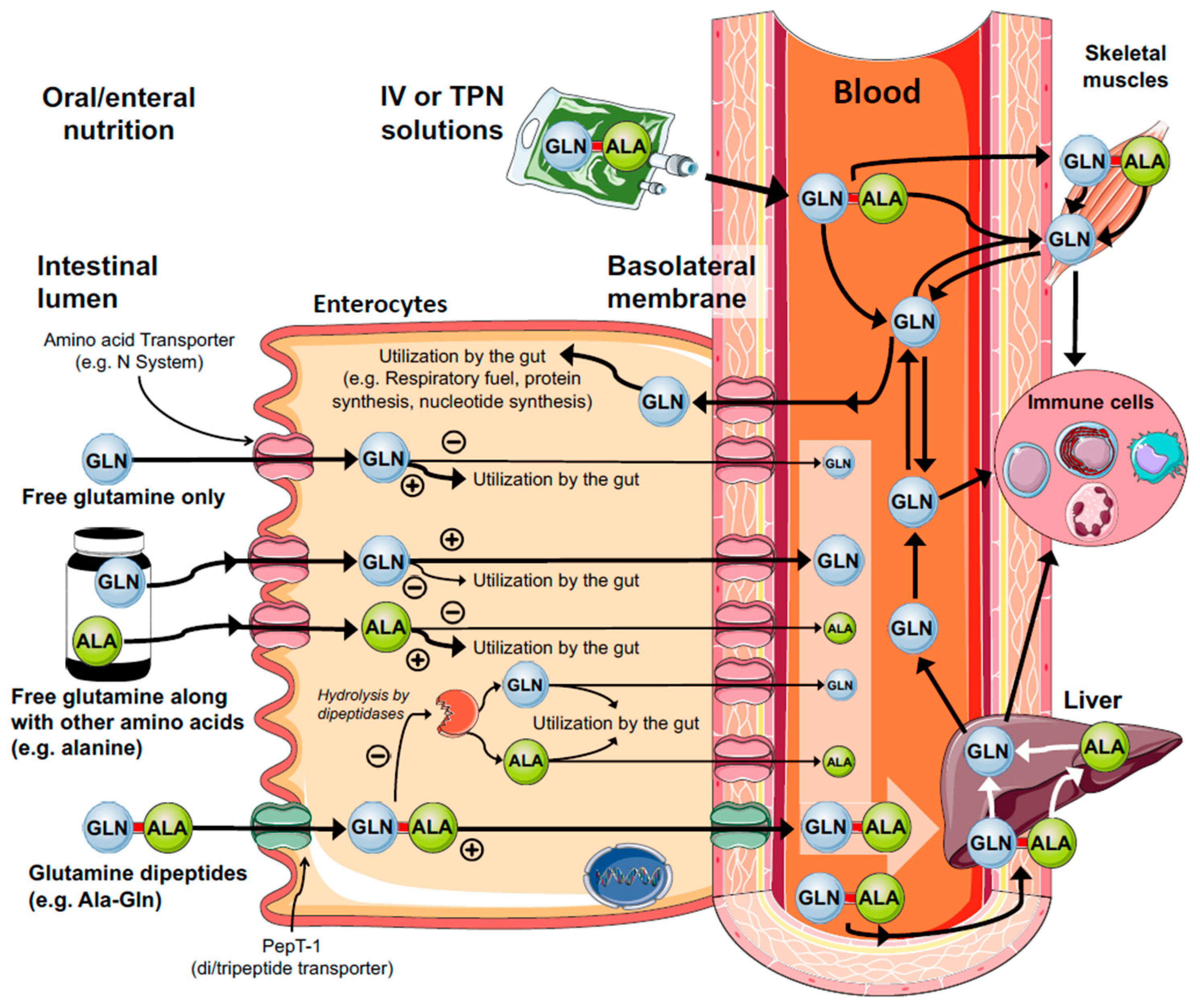 Nutrients 10 01564 g004 Nutrients 10 01564 g004