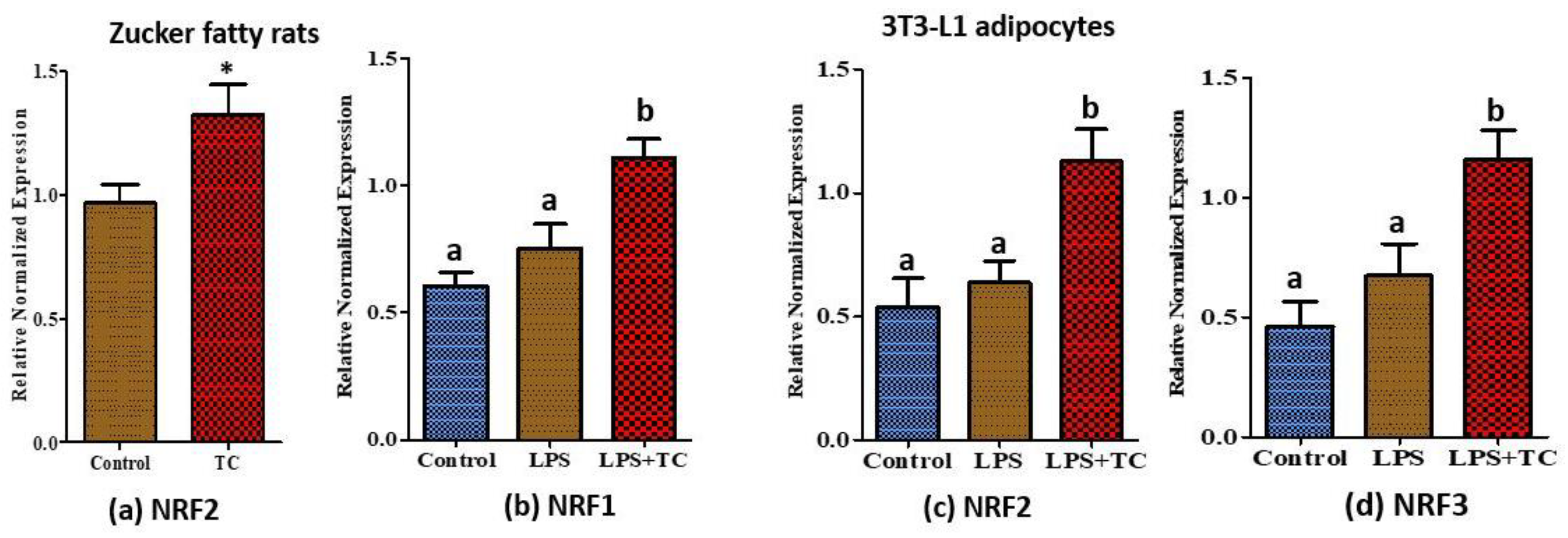 Nutrients 10 01576 g008 Nutrients 10 01576 g008