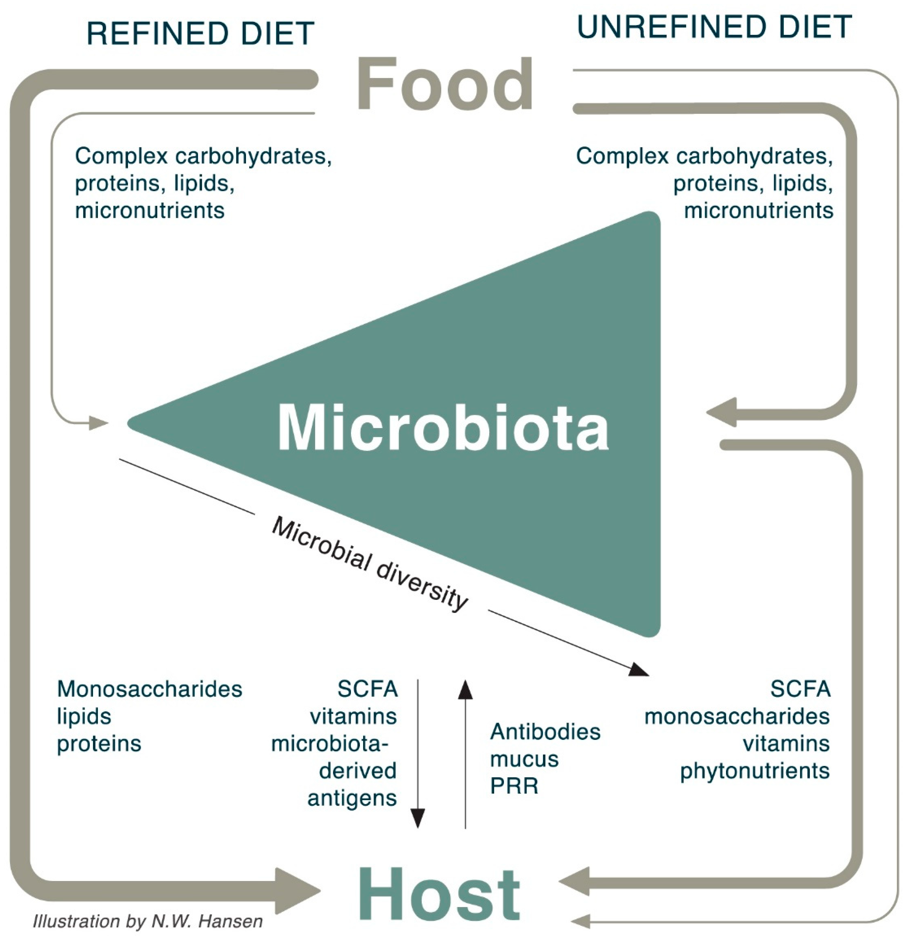 Nutrients 10 01590 g003