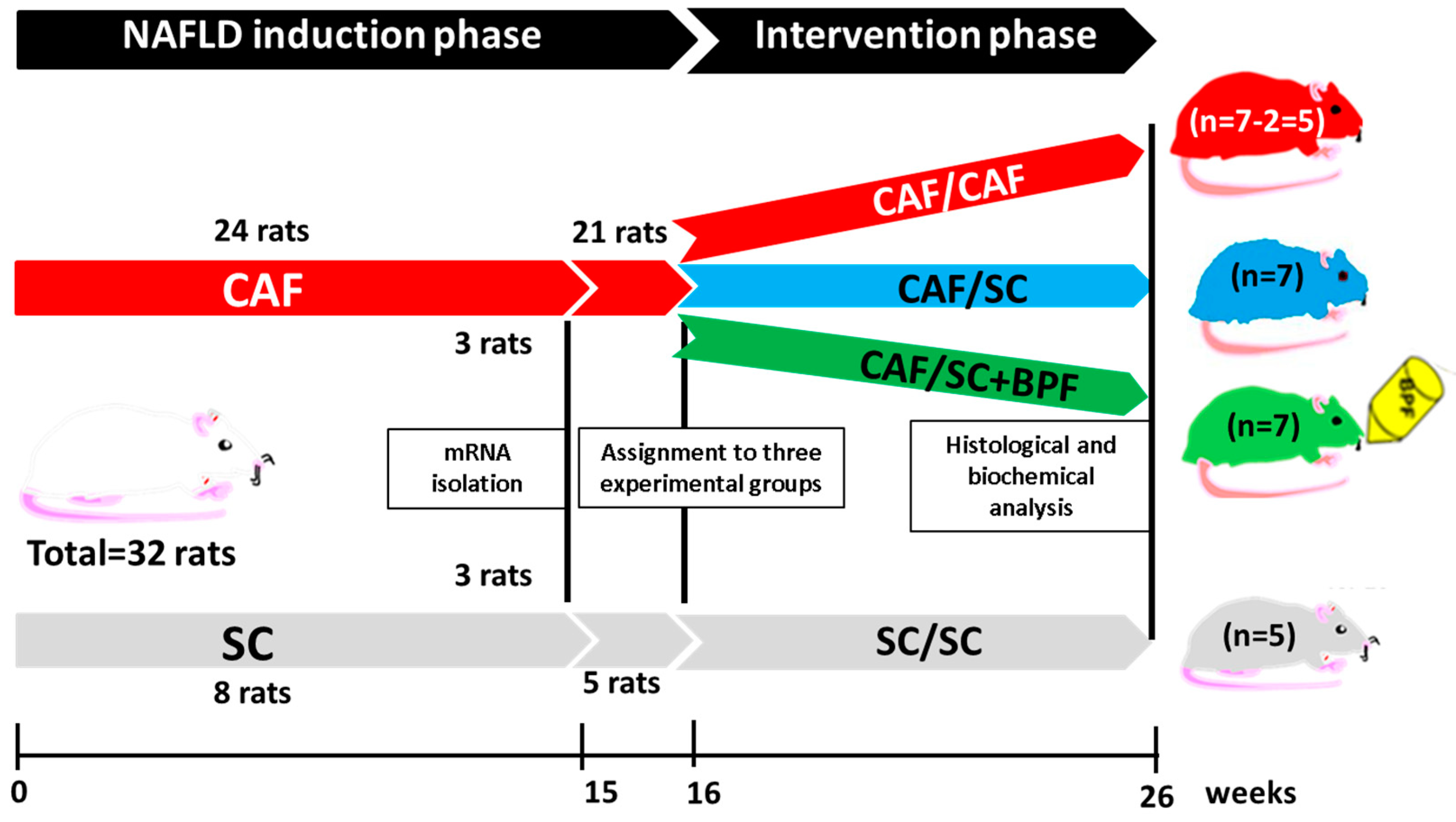 Nutrients 10 01604 g001