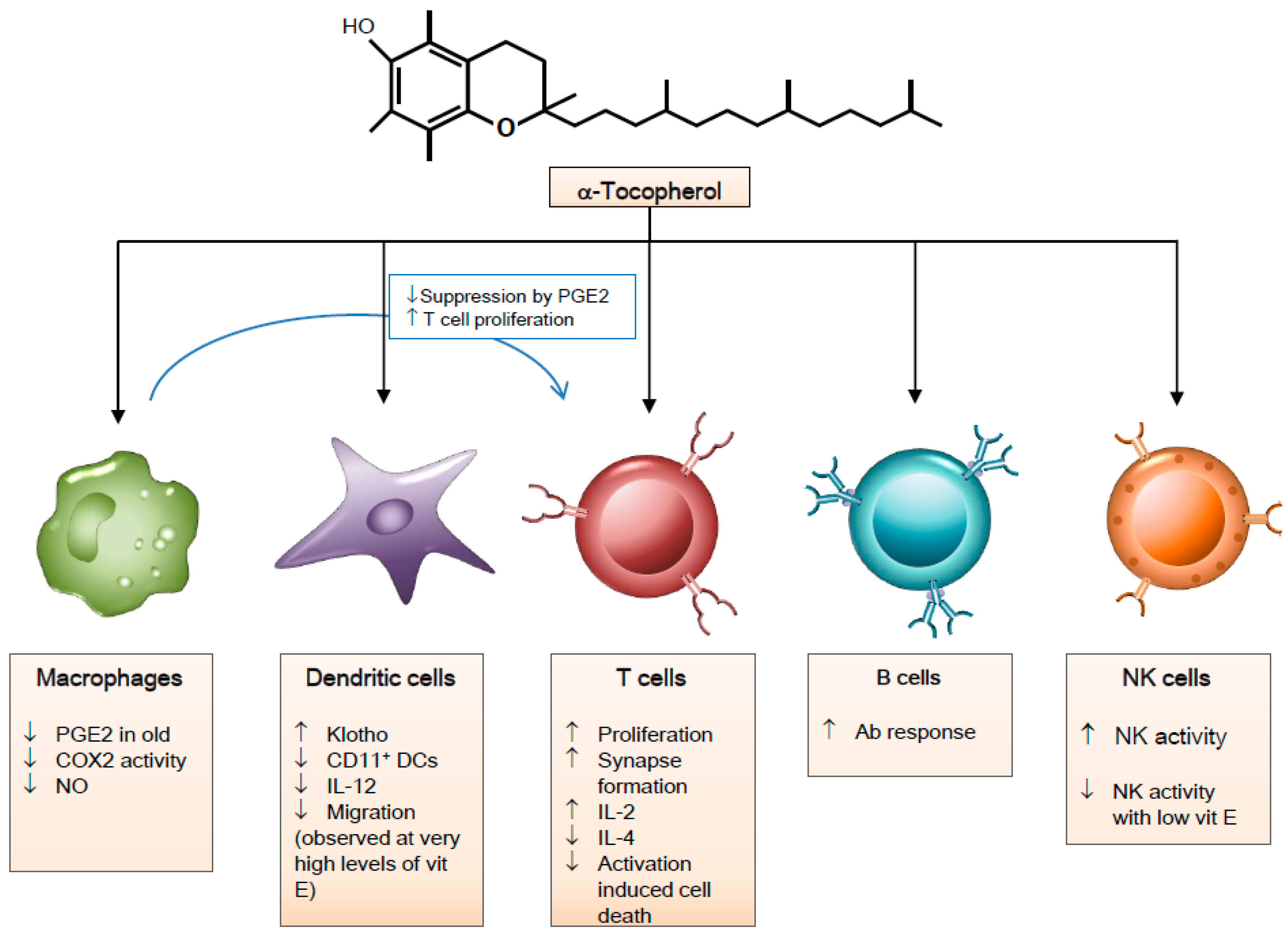 Nutrients 10 01614 g002