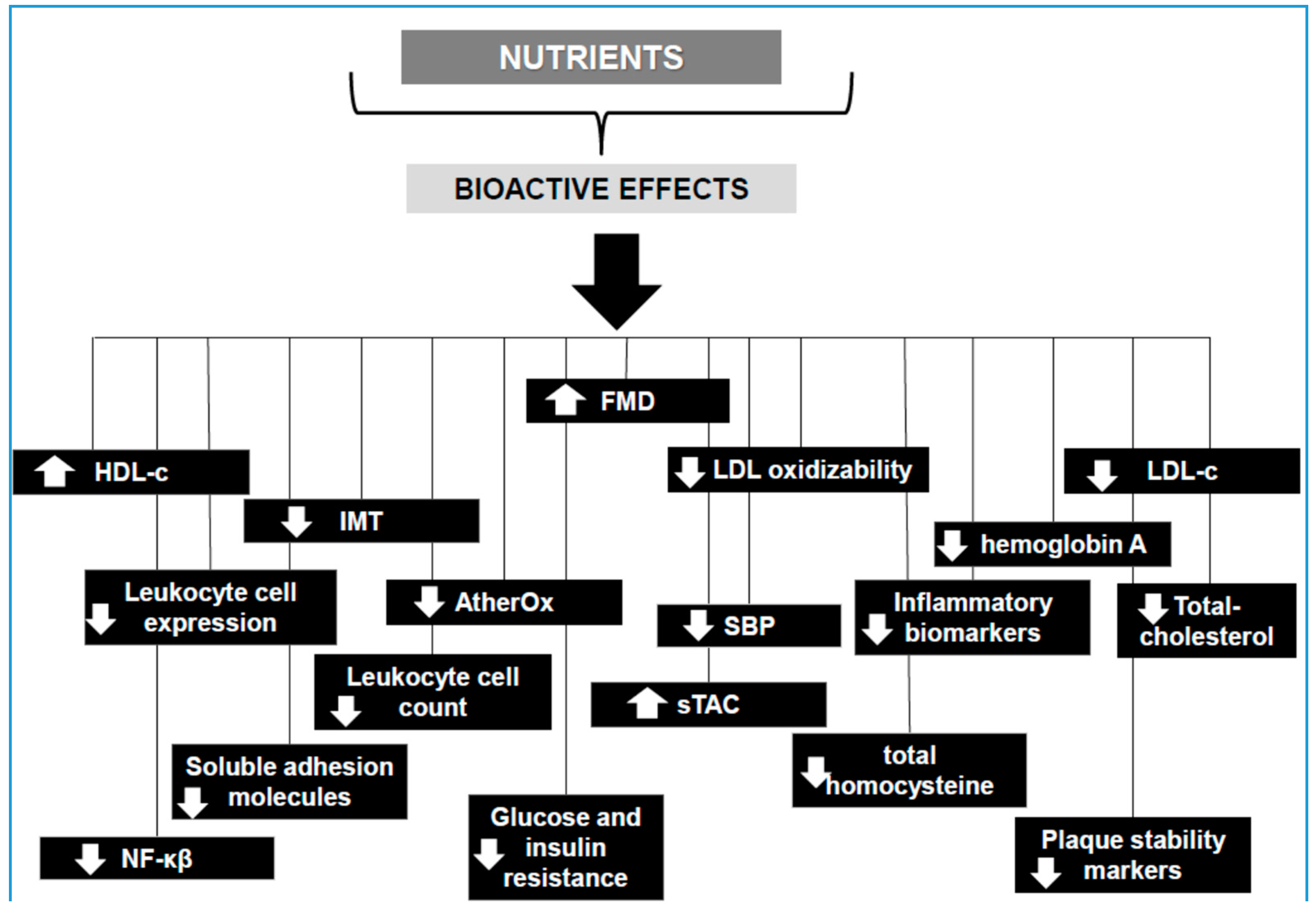 Nutrients 10 01630 g001
