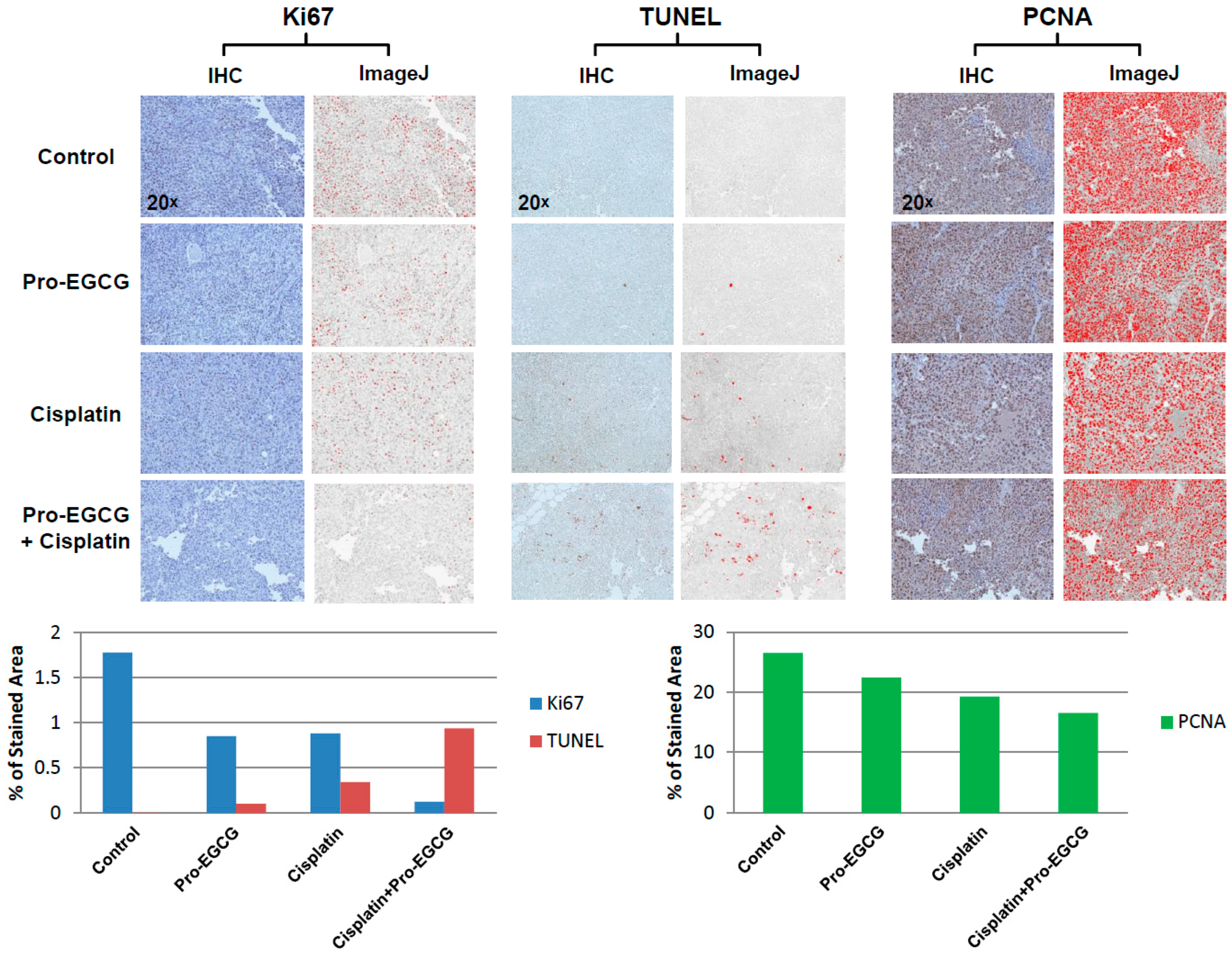 Nutrients 10 01644 g005