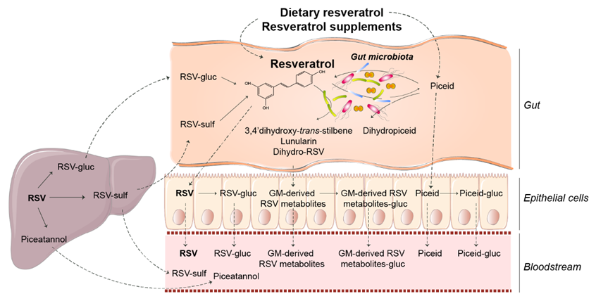 Nutrients 10 01651 g001