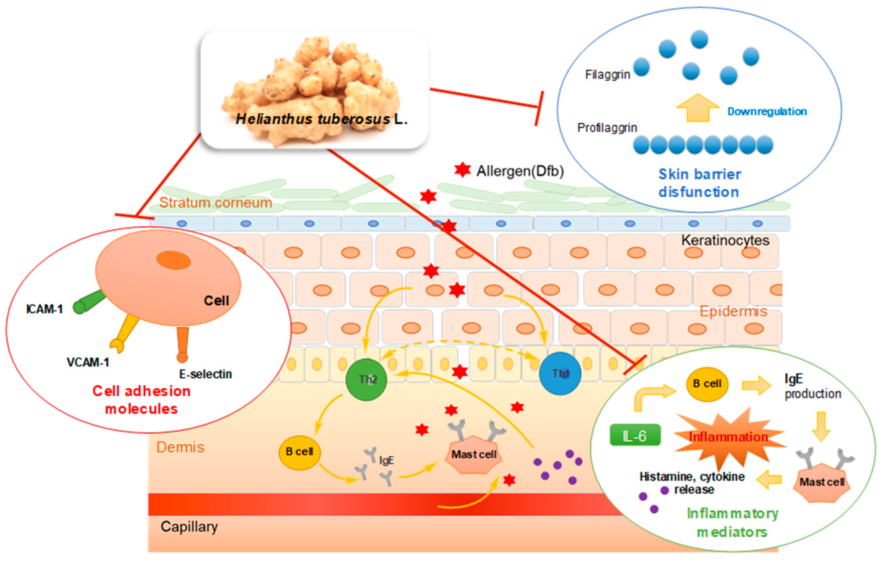 Nutrients 10 01657 g007
