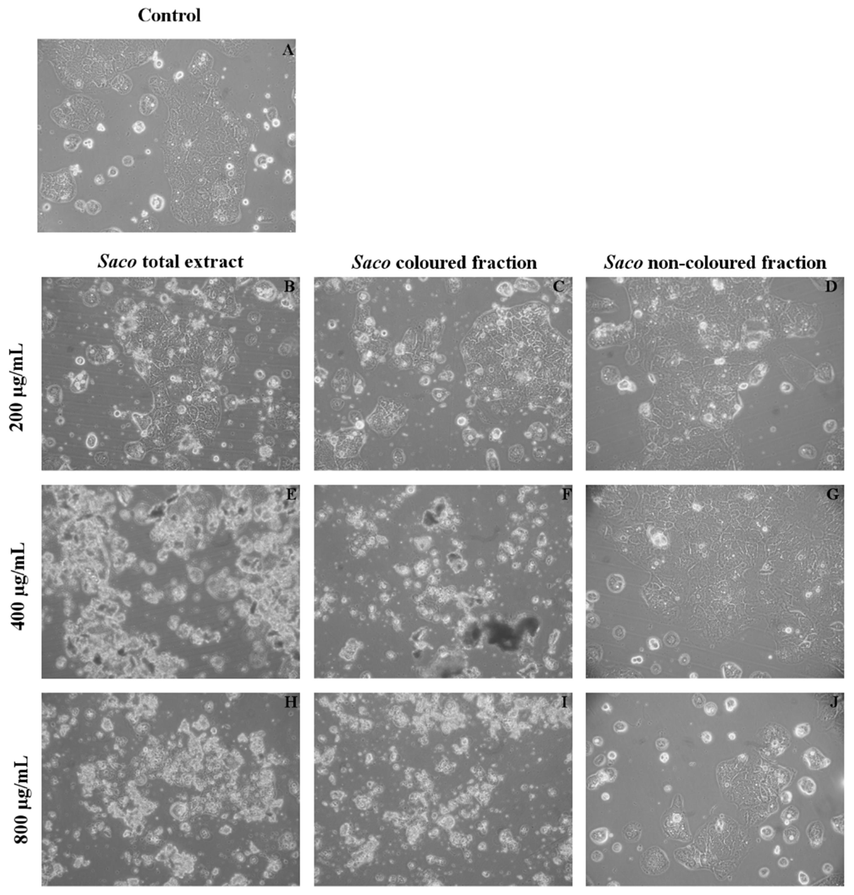 Nutrients 10 01688 g005