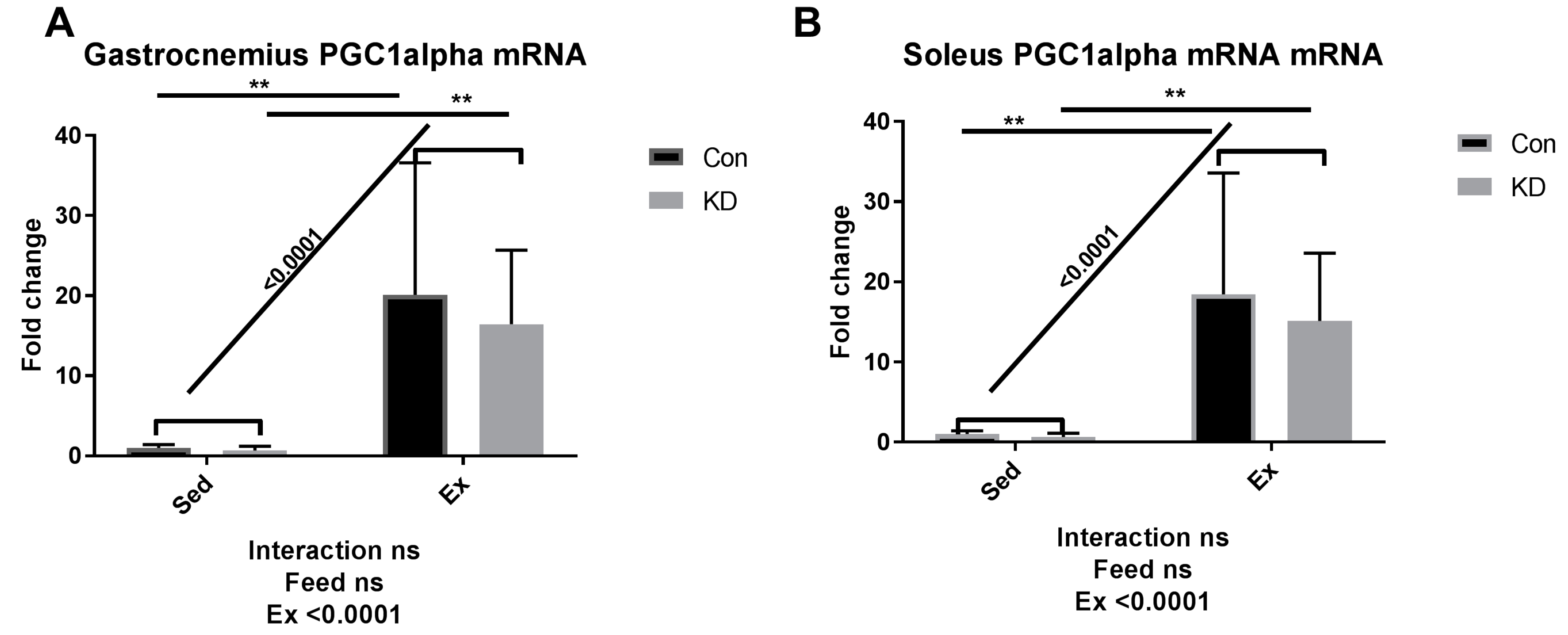 Nutrients 10 01696 g005