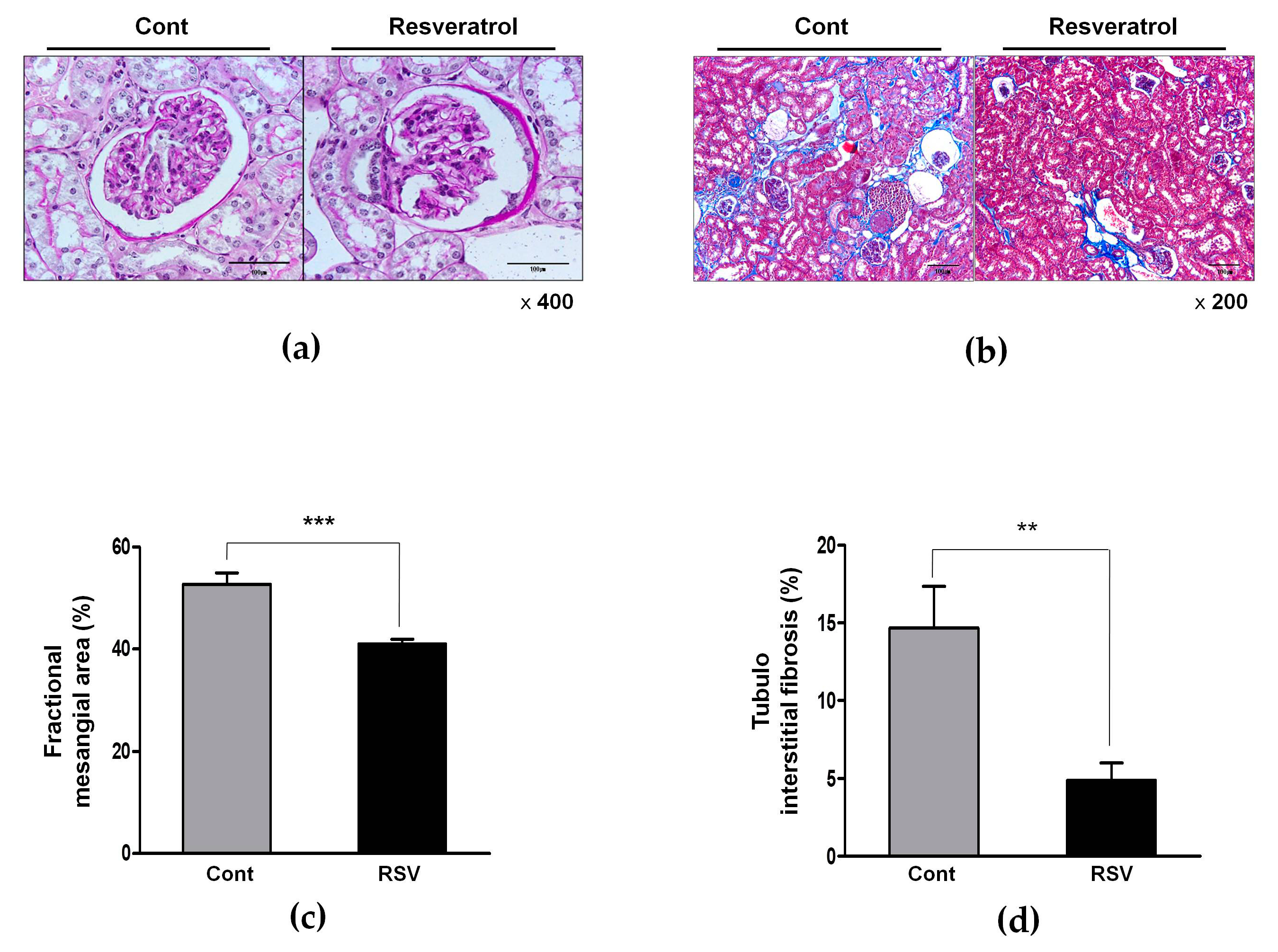 Nutrients 10 01741 g002 Nutrients 10 01741 g002