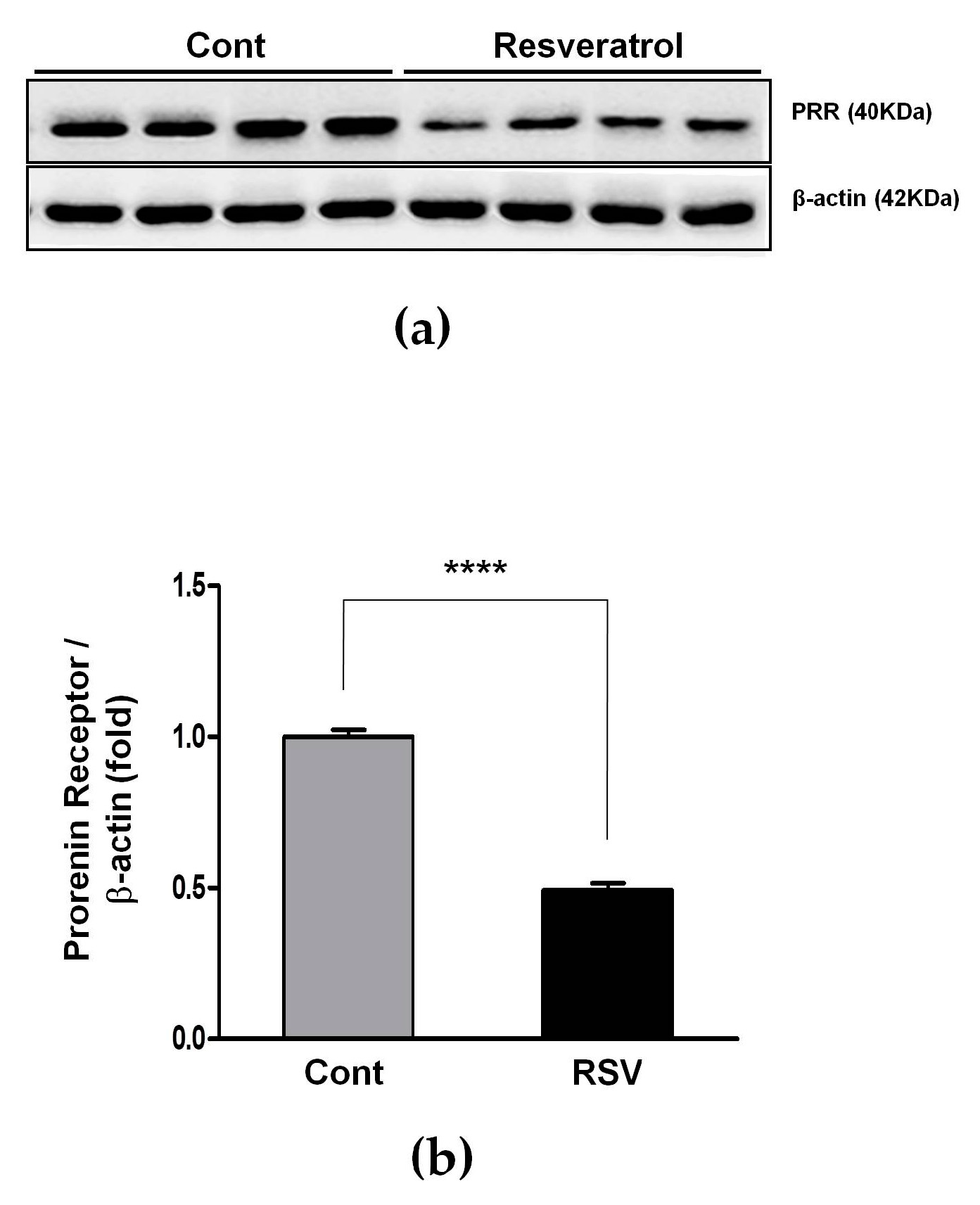 Nutrients 10 01741 g003 Nutrients 10 01741 g003