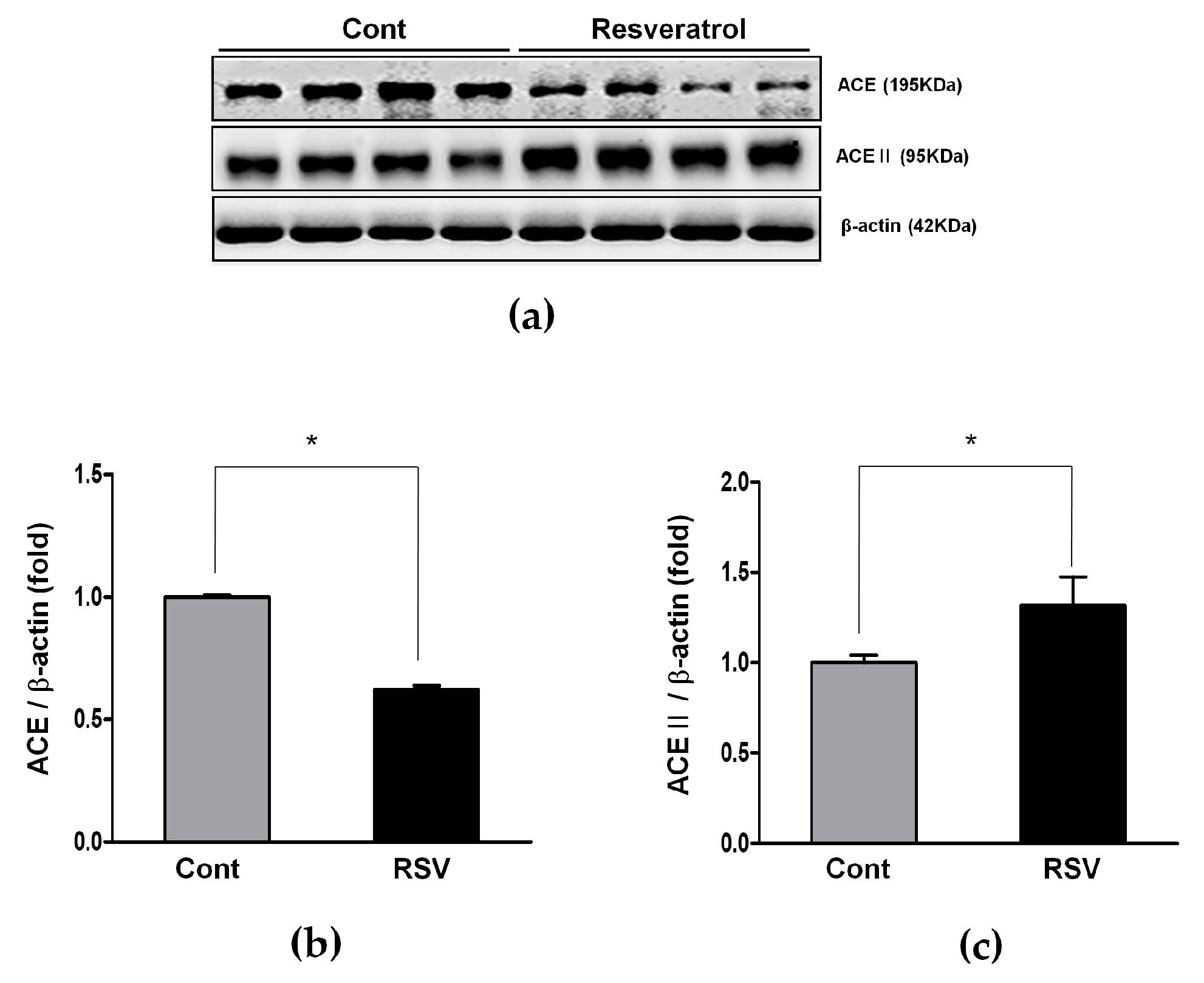 Nutrients 10 01741 g004 Nutrients 10 01741 g004