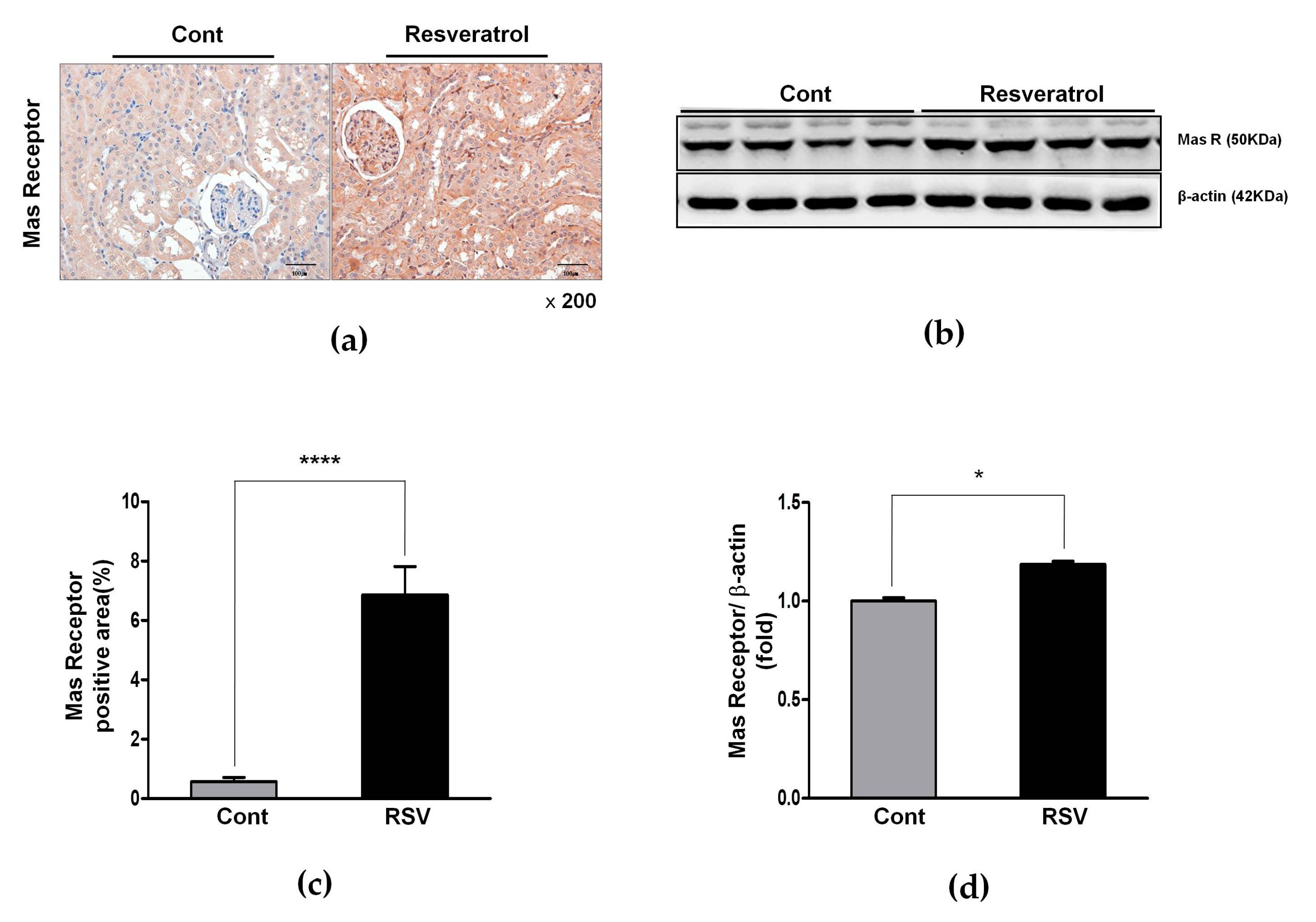 Nutrients 10 01741 g008 Nutrients 10 01741 g008