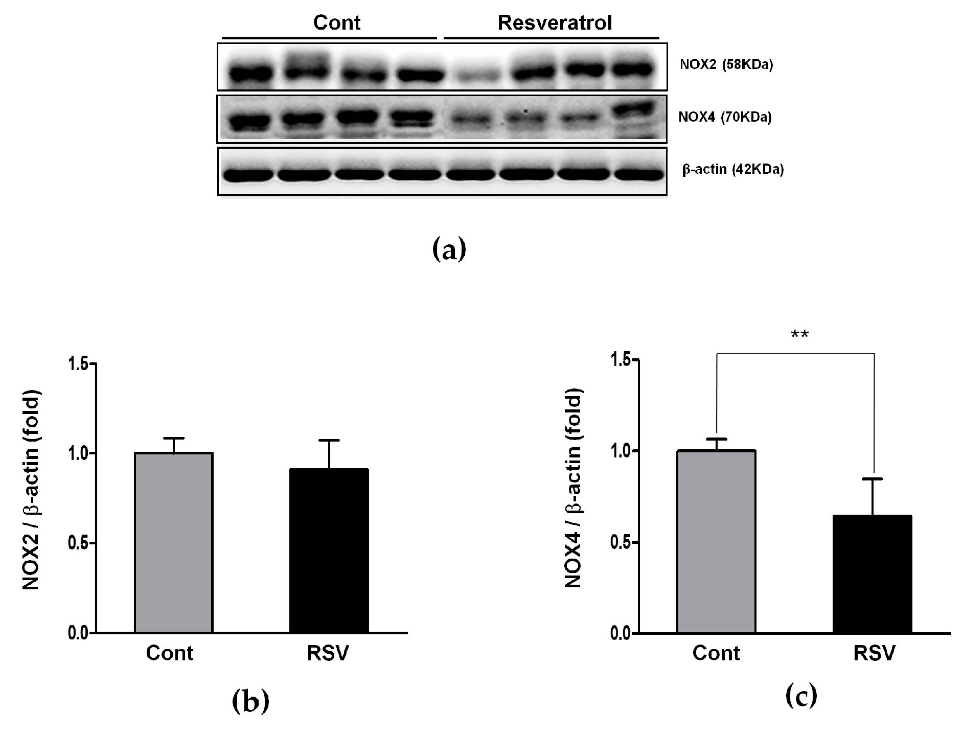 Nutrients 10 01741 g009 Nutrients 10 01741 g009