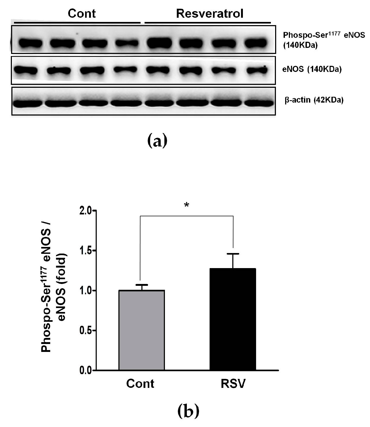 Nutrients 10 01741 g011 Nutrients 10 01741 g011